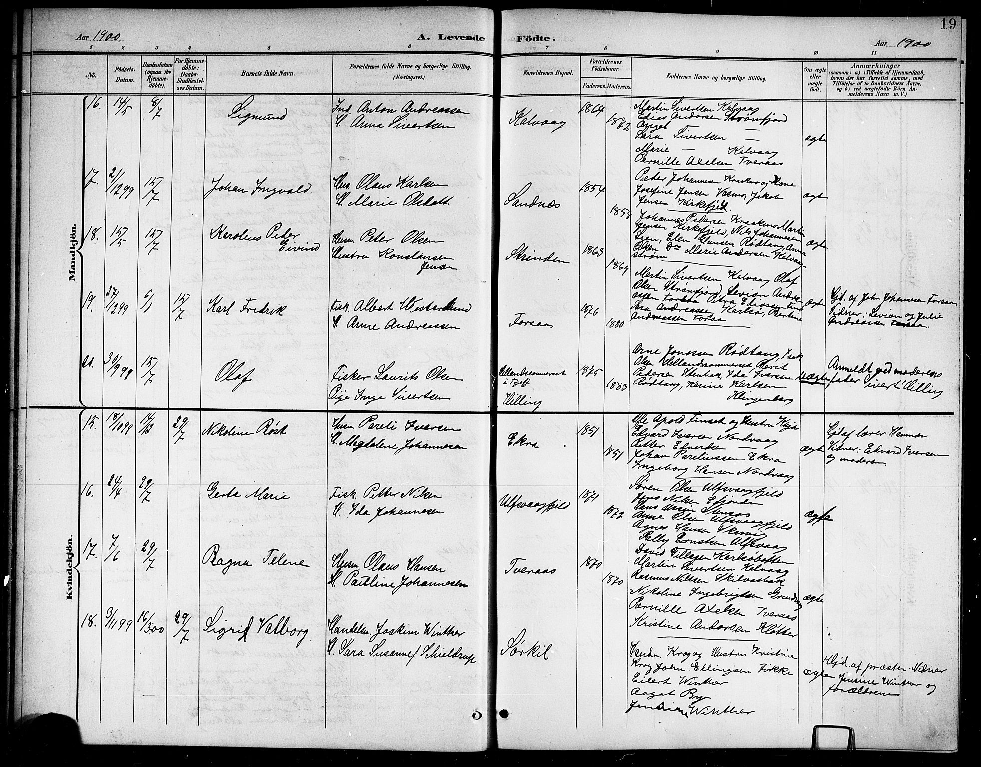 Ministerialprotokoller, klokkerbøker og fødselsregistre - Nordland, AV/SAT-A-1459/859/L0860: Parish register (copy) no. 859C06, 1899-1909, p. 19