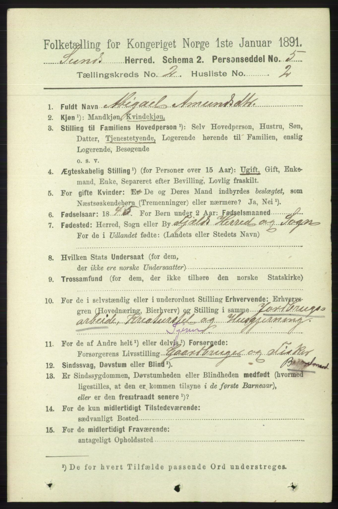 RA, 1891 census for 1245 Sund, 1891, p. 600