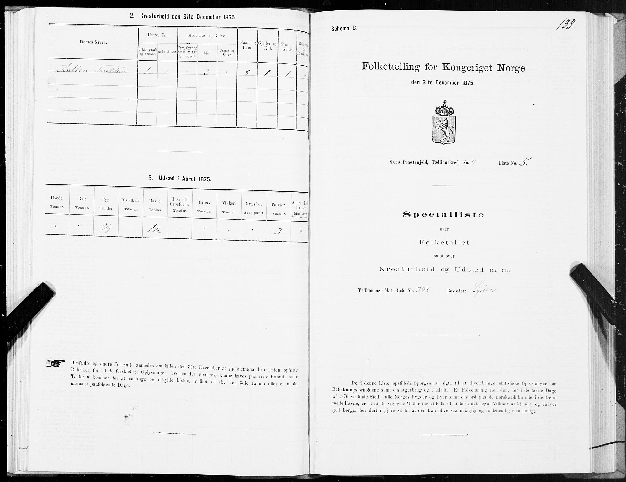 SAT, 1875 census for 1751P Nærøy, 1875, p. 4133