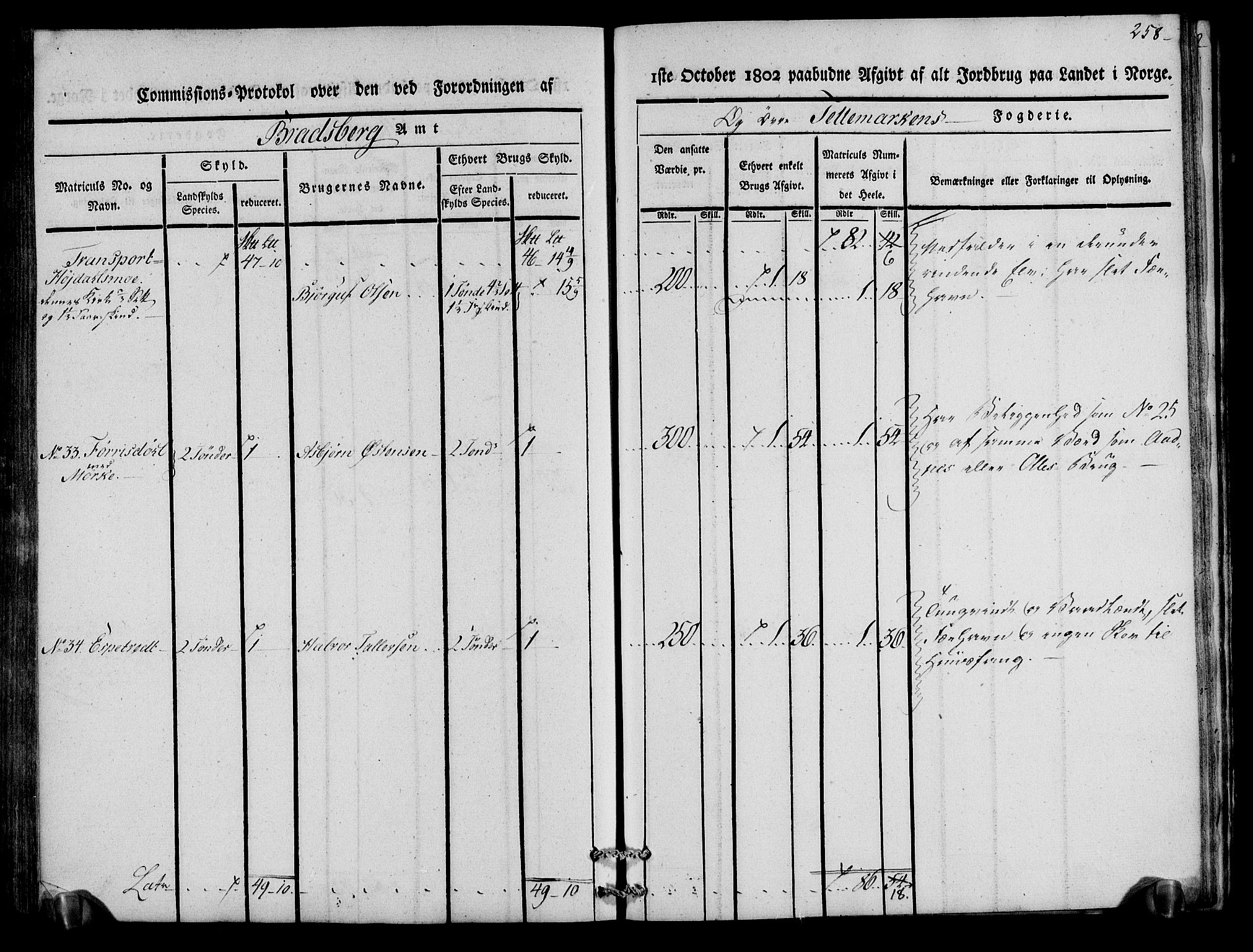 Rentekammeret inntil 1814, Realistisk ordnet avdeling, AV/RA-EA-4070/N/Ne/Nea/L0075: Øvre Telemarken fogderi. Kommisjonsprotokoll for fogderiets vestre del - Kviteseid, Vinje, Moland [):Fyresdal] og Lårdal prestegjeld., 1803, p. 260