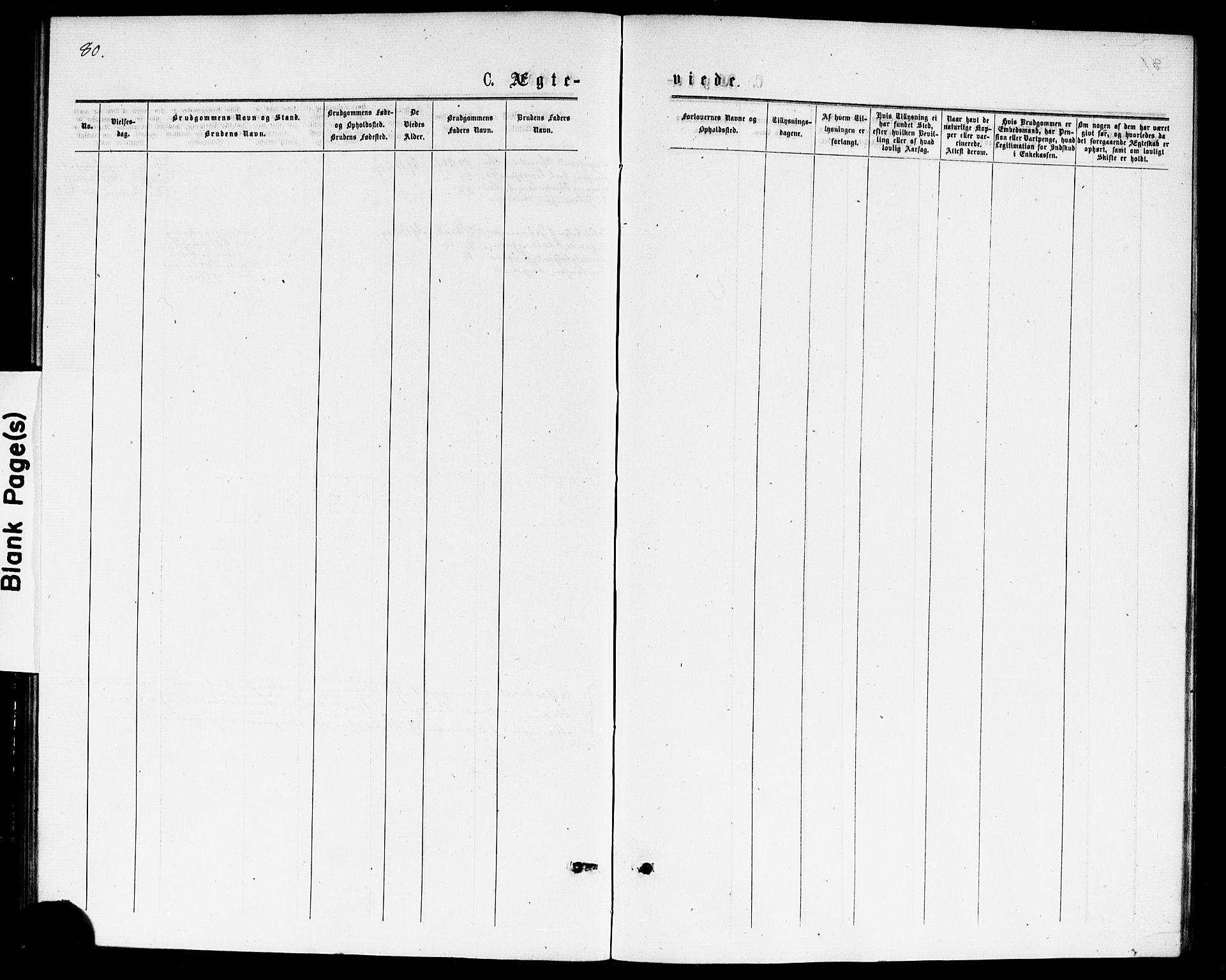 Bragernes kirkebøker, AV/SAKO-A-6/F/Fc/L0004: Parish register (official) no. III 4, 1875-1877, p. 80