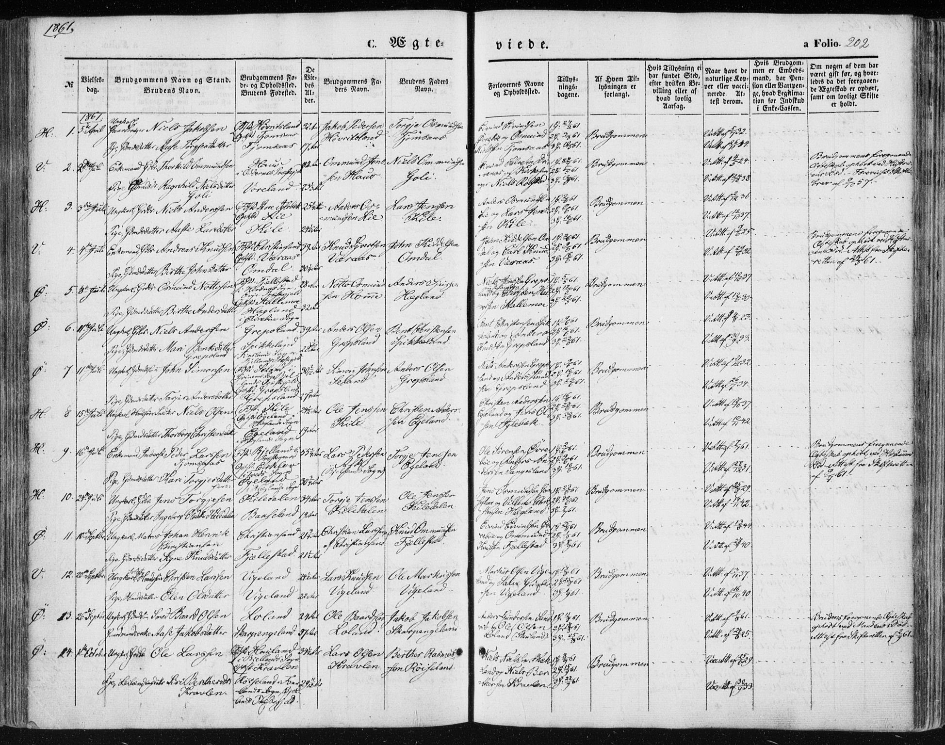 Vennesla sokneprestkontor, AV/SAK-1111-0045/Fa/Fac/L0007: Parish register (official) no. A 7, 1855-1873, p. 202