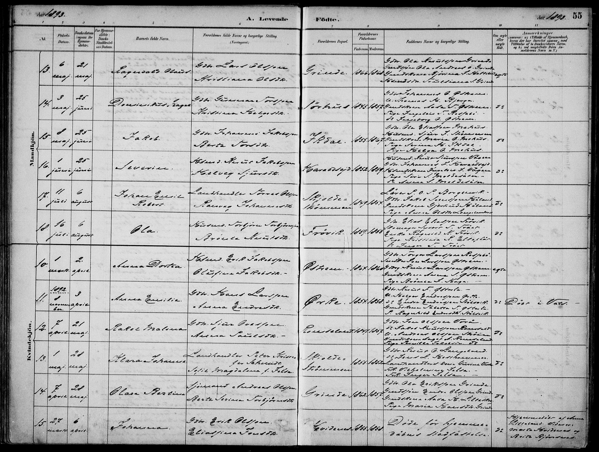 Skjold sokneprestkontor, AV/SAST-A-101847/H/Ha/Haa/L0010: Parish register (official) no. A 10, 1882-1897, p. 55