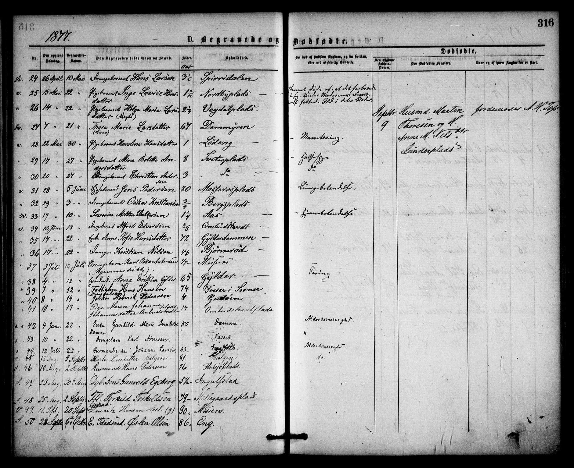Våler prestekontor Kirkebøker, SAO/A-11083/F/Fa/L0009: Parish register (official) no. I 9, 1873-1877, p. 316