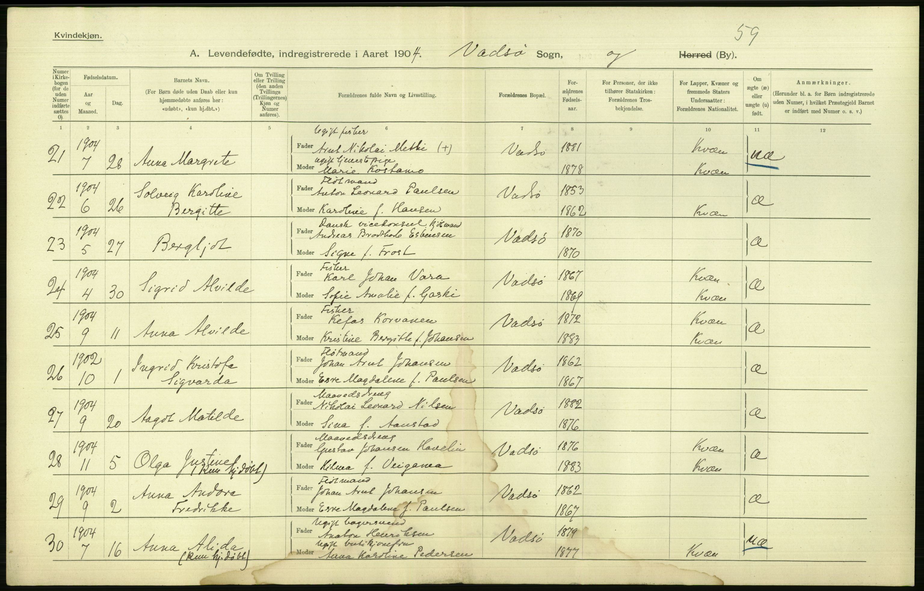 Statistisk sentralbyrå, Sosiodemografiske emner, Befolkning, AV/RA-S-2228/D/Df/Dfa/Dfab/L0023: Finnmarkens amt: Fødte, gifte, døde, 1904, p. 142