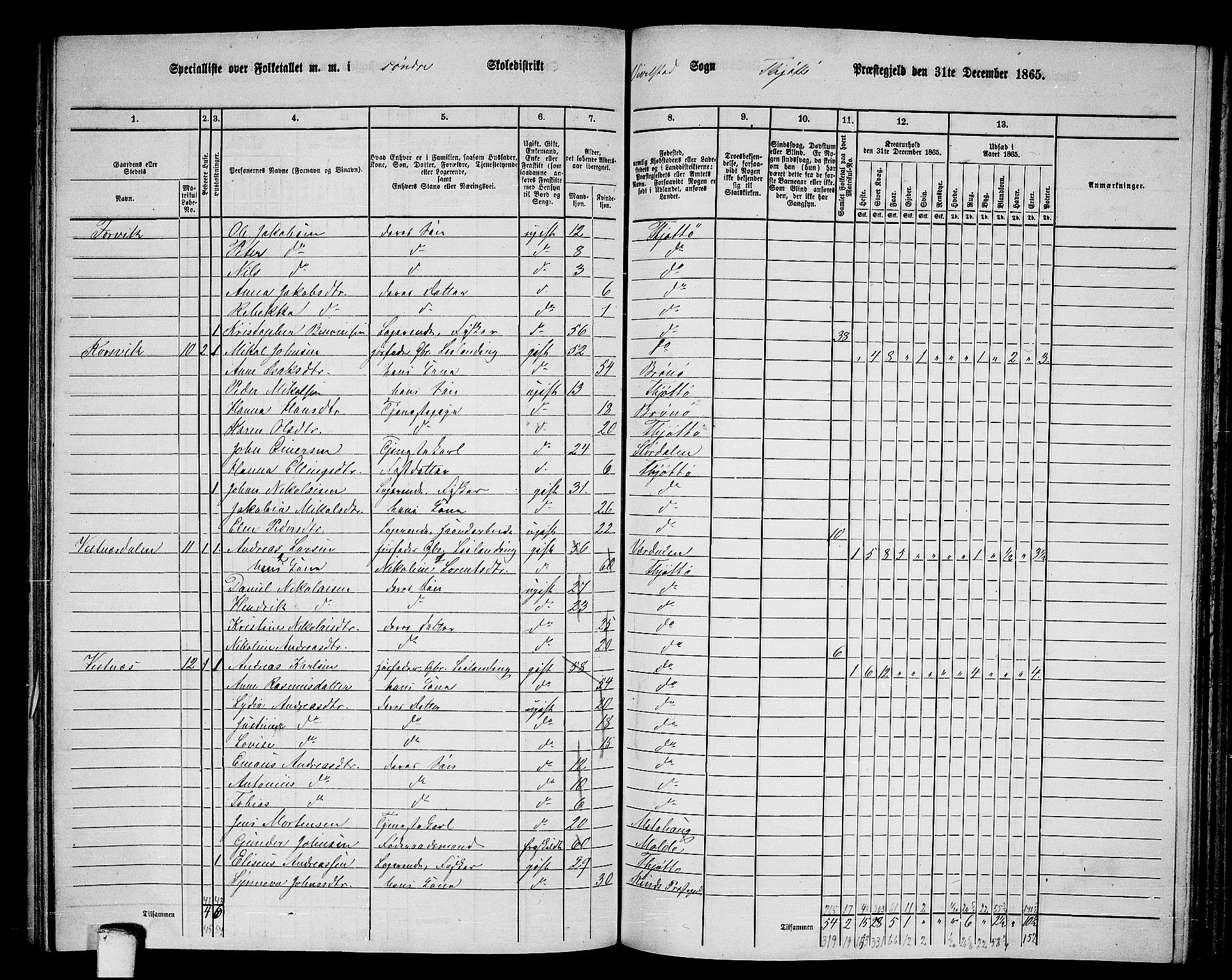 RA, 1865 census for Tjøtta, 1865, p. 100