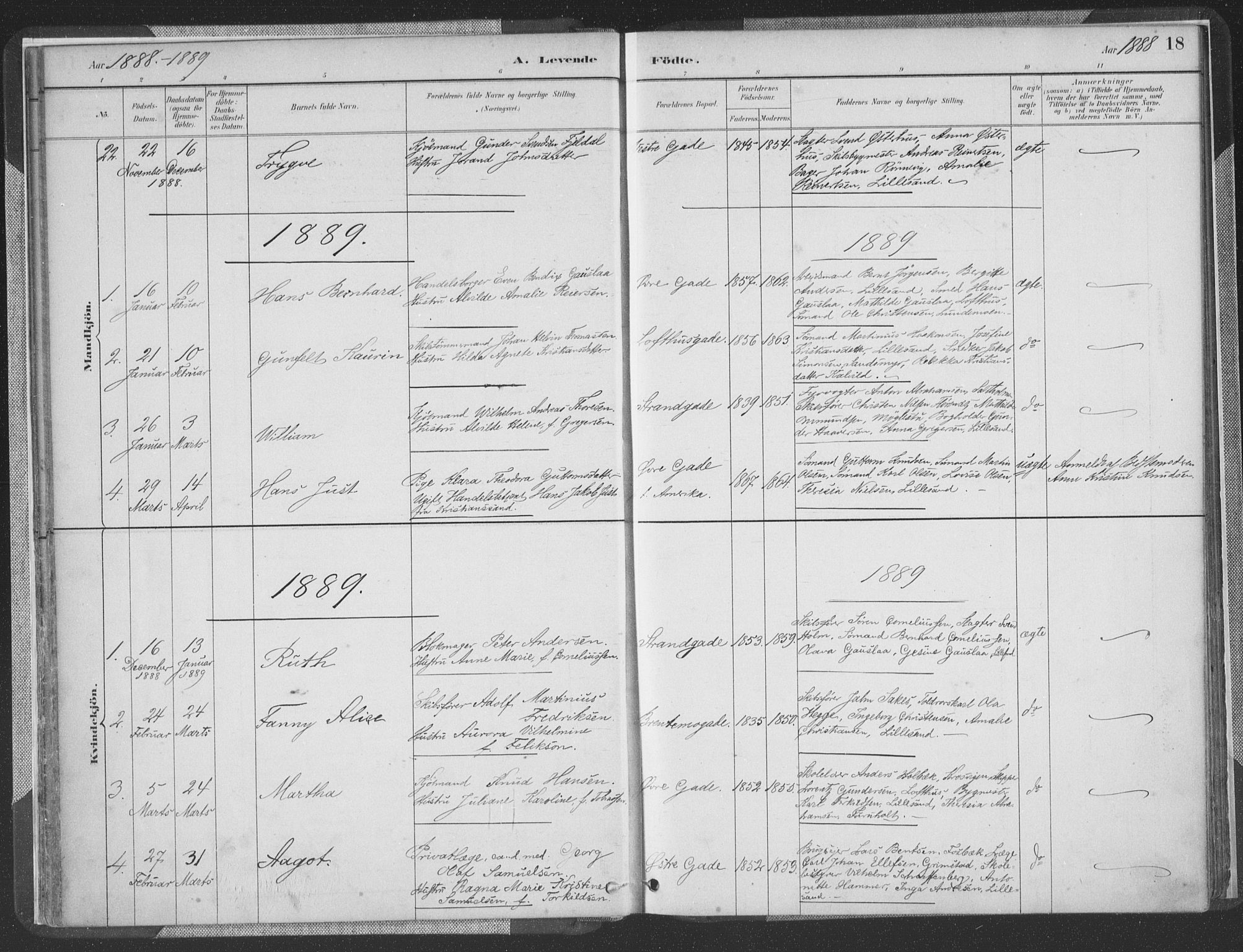 Vestre Moland sokneprestkontor, AV/SAK-1111-0046/F/Fa/Faa/L0001: Parish register (official) no. A 1, 1884-1899, p. 19