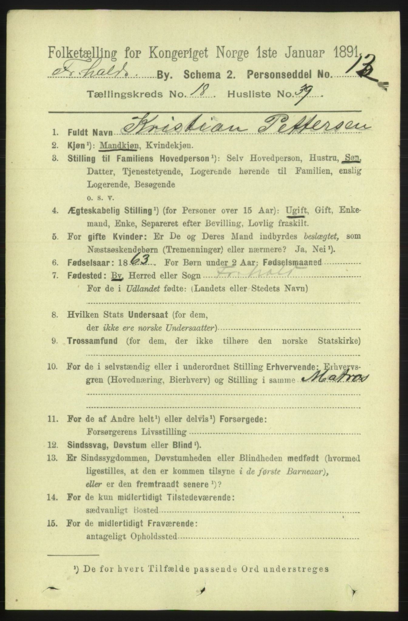 RA, 1891 census for 0101 Fredrikshald, 1891, p. 11913