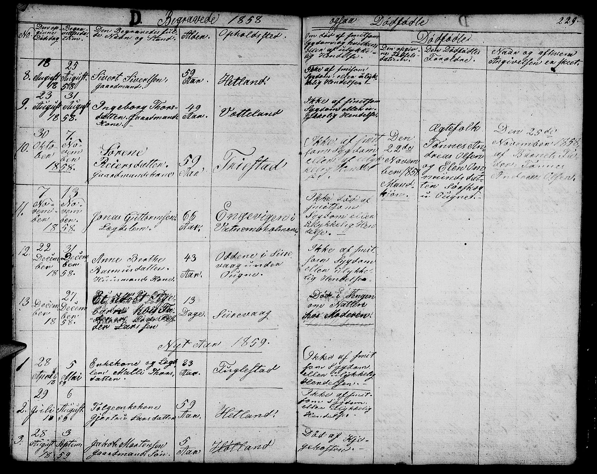 Eigersund sokneprestkontor, SAST/A-101807/S09/L0003: Parish register (copy) no. B 3, 1846-1875, p. 229