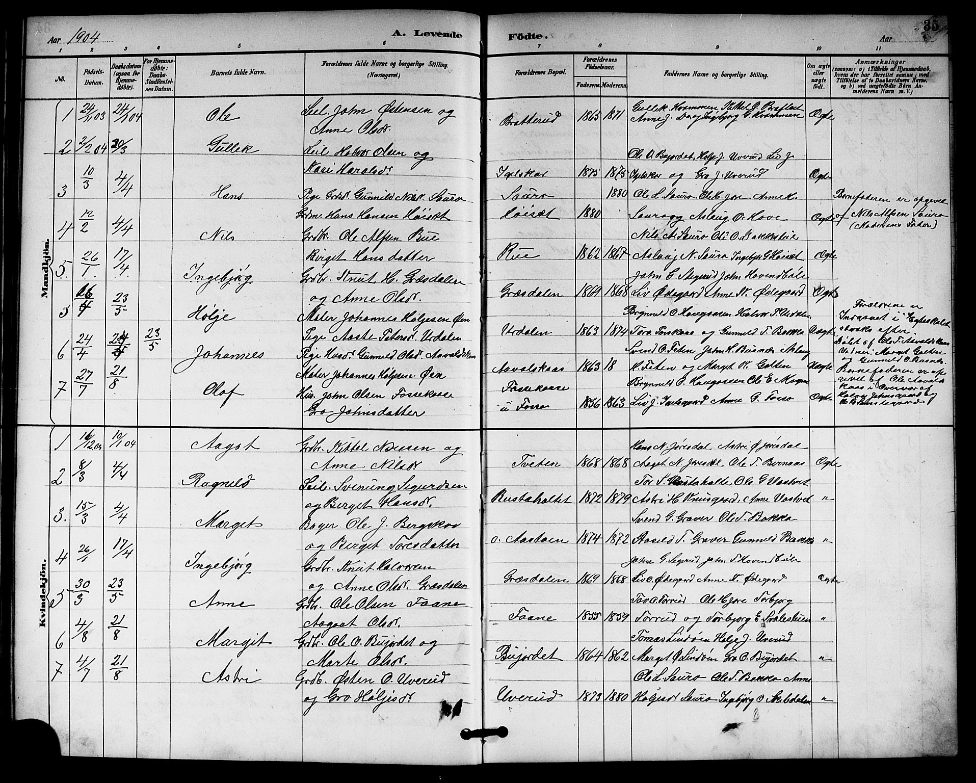 Gransherad kirkebøker, AV/SAKO-A-267/G/Gb/L0003: Parish register (copy) no. II 3, 1887-1921, p. 35