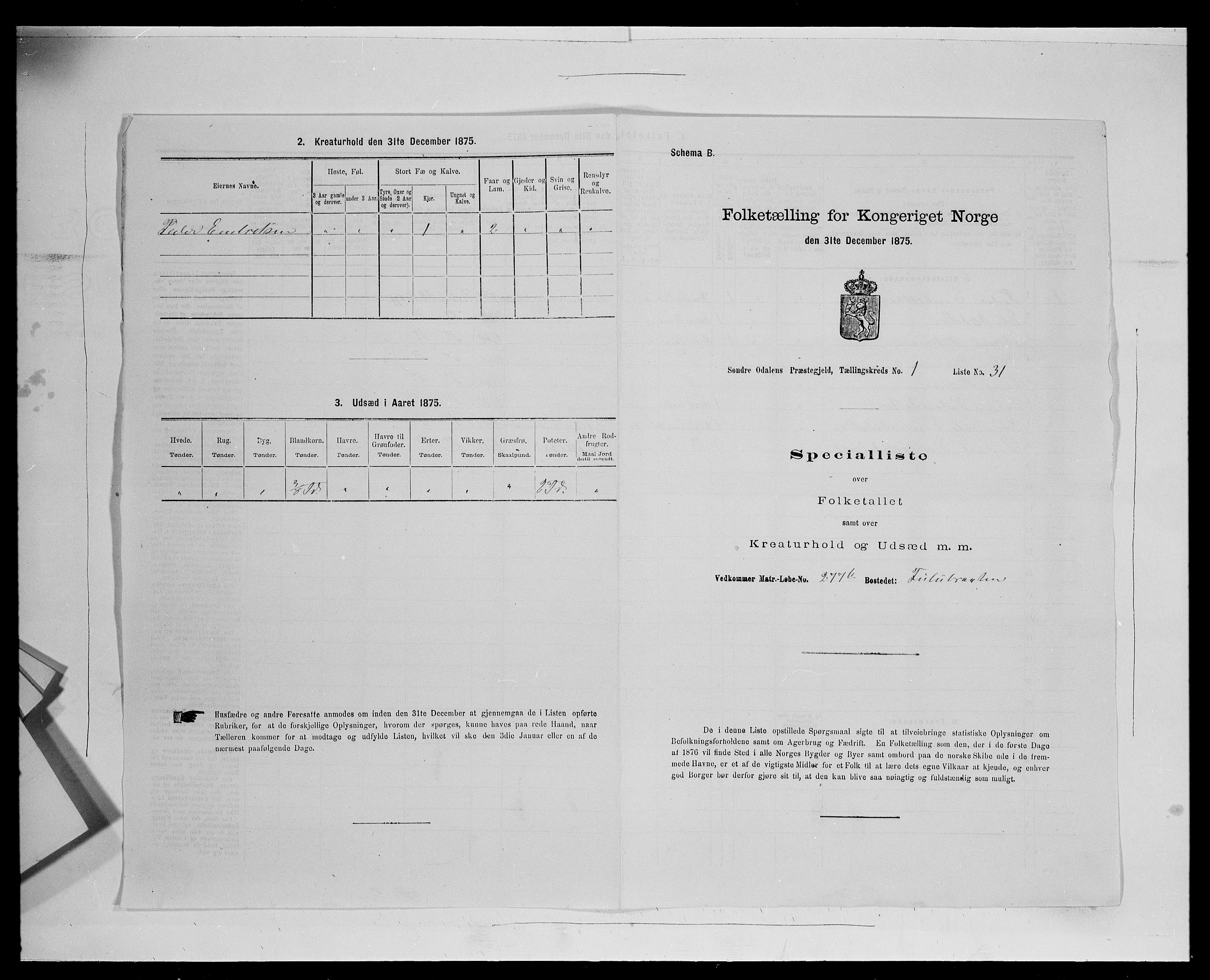 SAH, 1875 census for 0419P Sør-Odal, 1875, p. 196