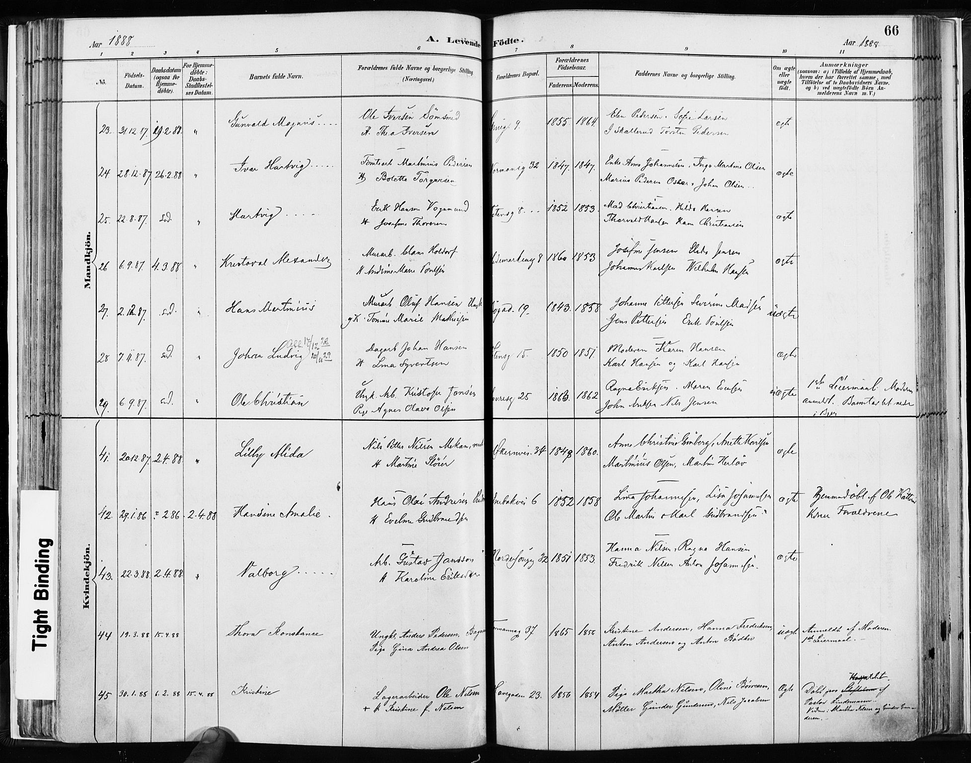 Kampen prestekontor Kirkebøker, AV/SAO-A-10853/F/Fa/L0003: Parish register (official) no. I 3, 1886-1892, p. 66