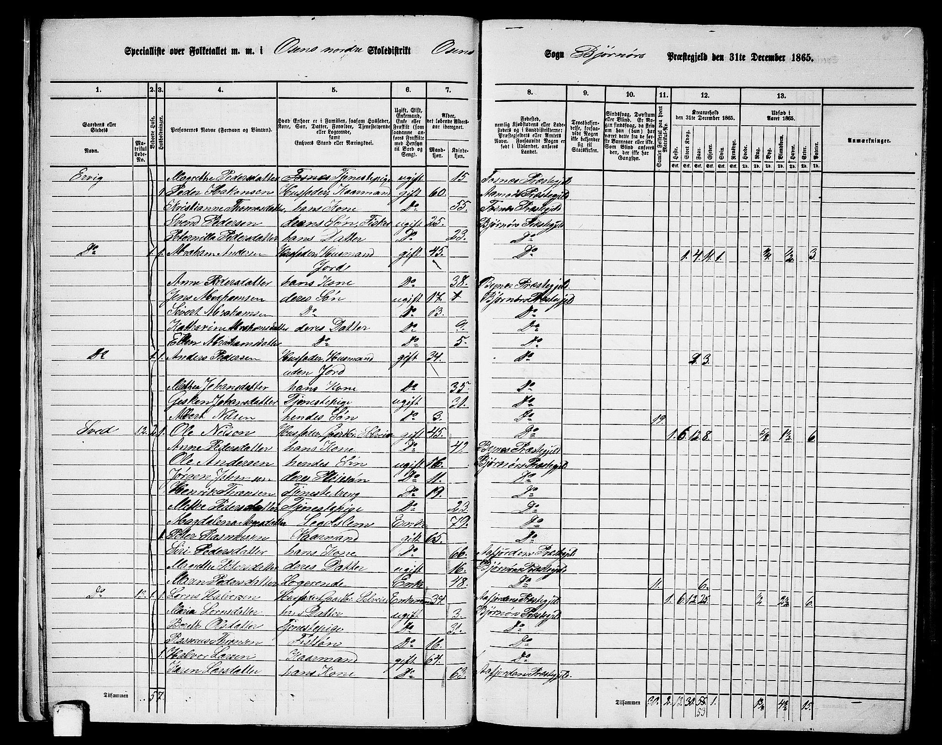 RA, 1865 census for Bjørnør, 1865, p. 16