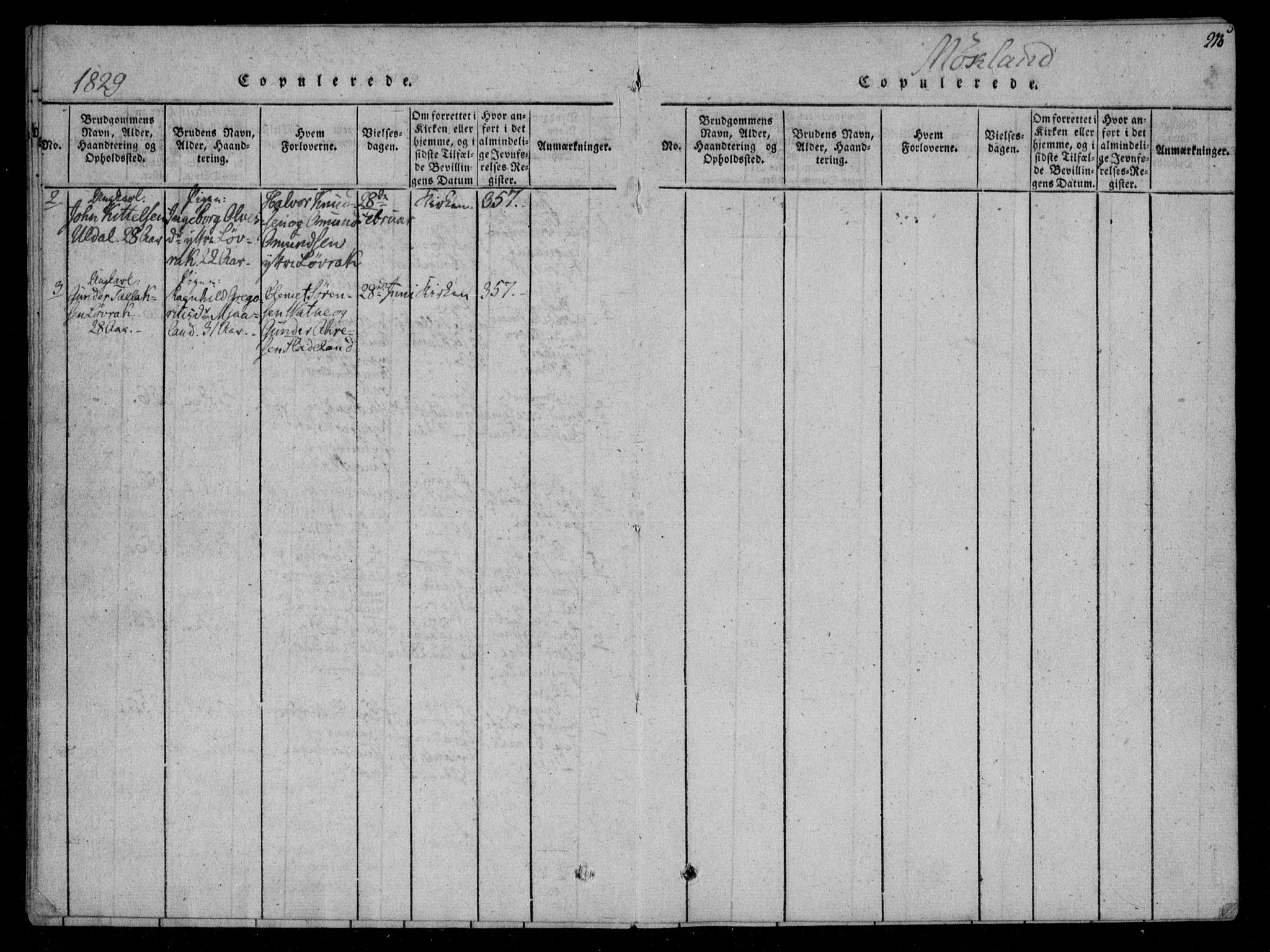 Åmli sokneprestkontor, AV/SAK-1111-0050/F/Fa/Fac/L0006: Parish register (official) no. A 6, 1816-1829, p. 215