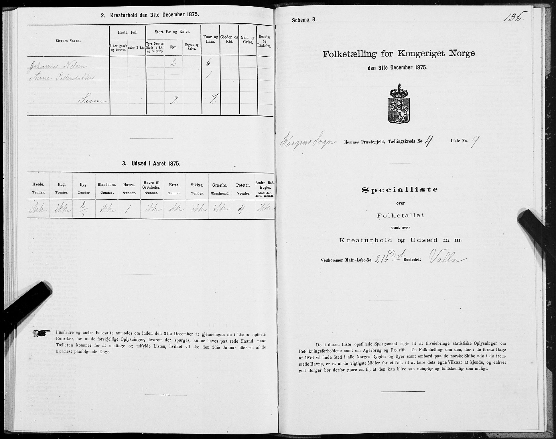 SAT, 1875 census for 1832P Hemnes, 1875, p. 3135