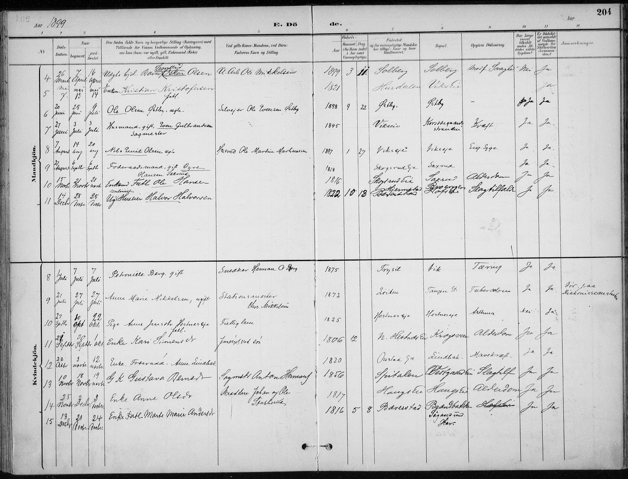 Stange prestekontor, AV/SAH-PREST-002/K/L0023: Parish register (official) no. 23, 1897-1920, p. 204