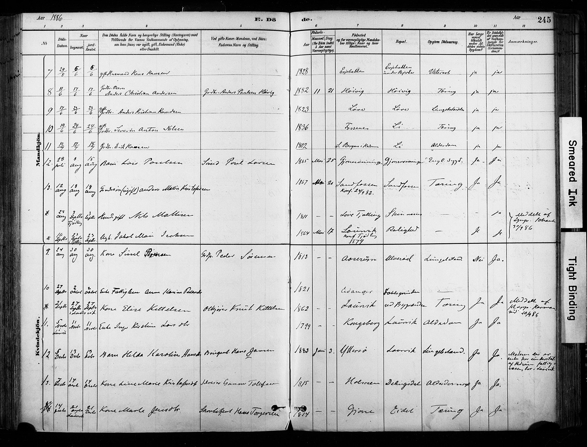 Hedrum kirkebøker, AV/SAKO-A-344/F/Fa/L0009: Parish register (official) no. I 9, 1881-1903, p. 245