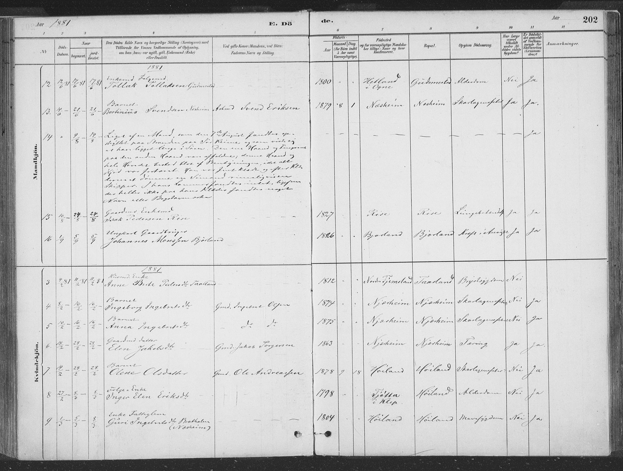 Hå sokneprestkontor, AV/SAST-A-101801/001/30BA/L0010: Parish register (official) no. A 9, 1879-1896, p. 202