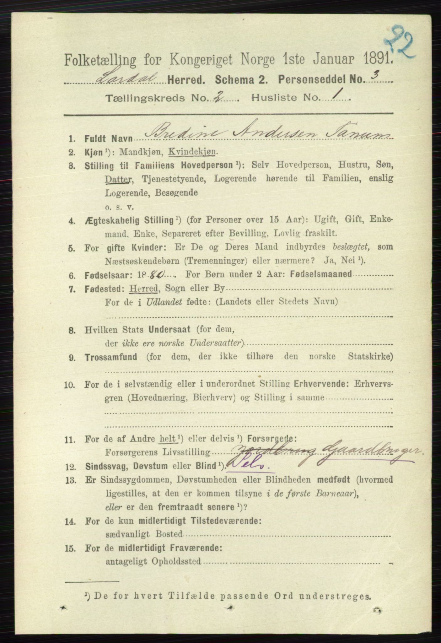 RA, 1891 census for 0728 Lardal, 1891, p. 729