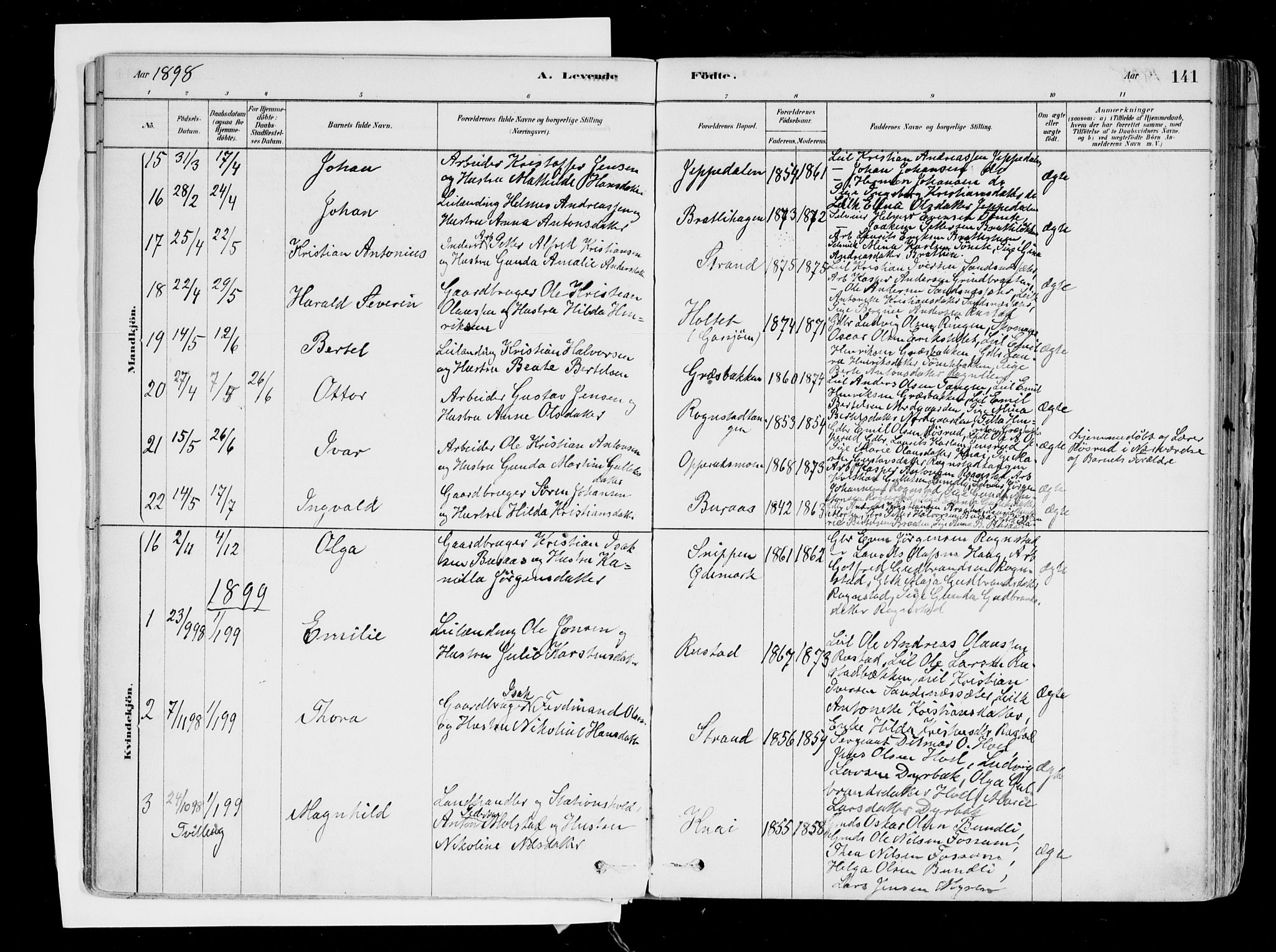 Hurdal prestekontor Kirkebøker, SAO/A-10889/F/Fa/L0007: Parish register (official) no. I 7, 1878-1906, p. 141