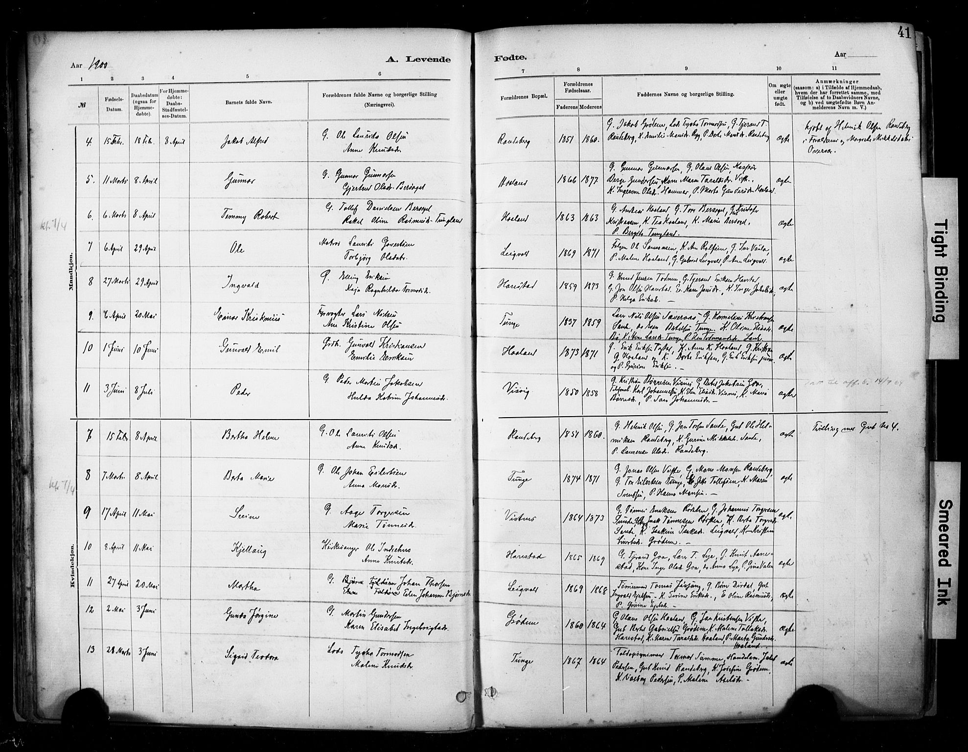 Hetland sokneprestkontor, AV/SAST-A-101826/30/30BA/L0009: Parish register (official) no. A 9, 1882-1918, p. 41