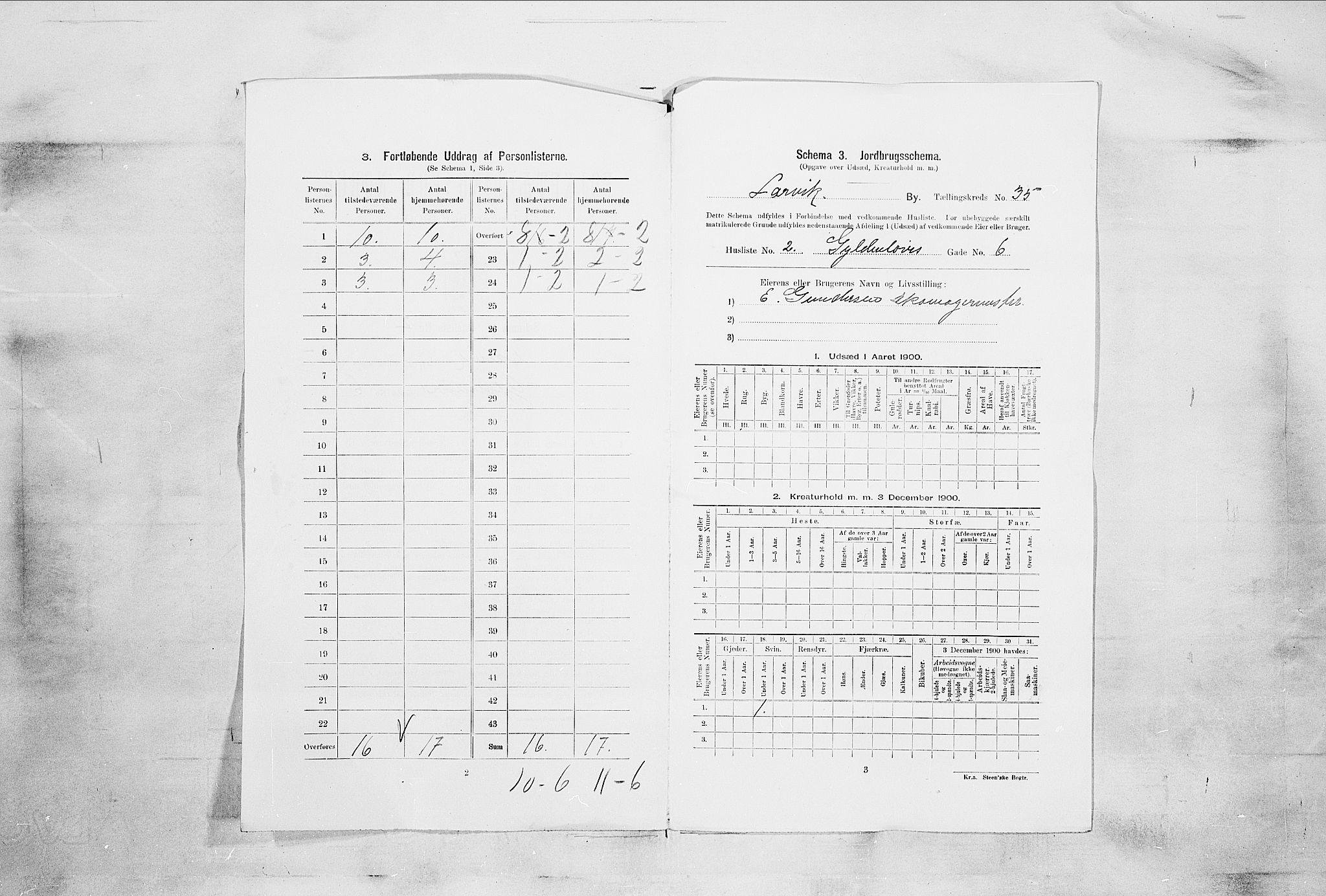 RA, 1900 census for Larvik, 1900, p. 6519