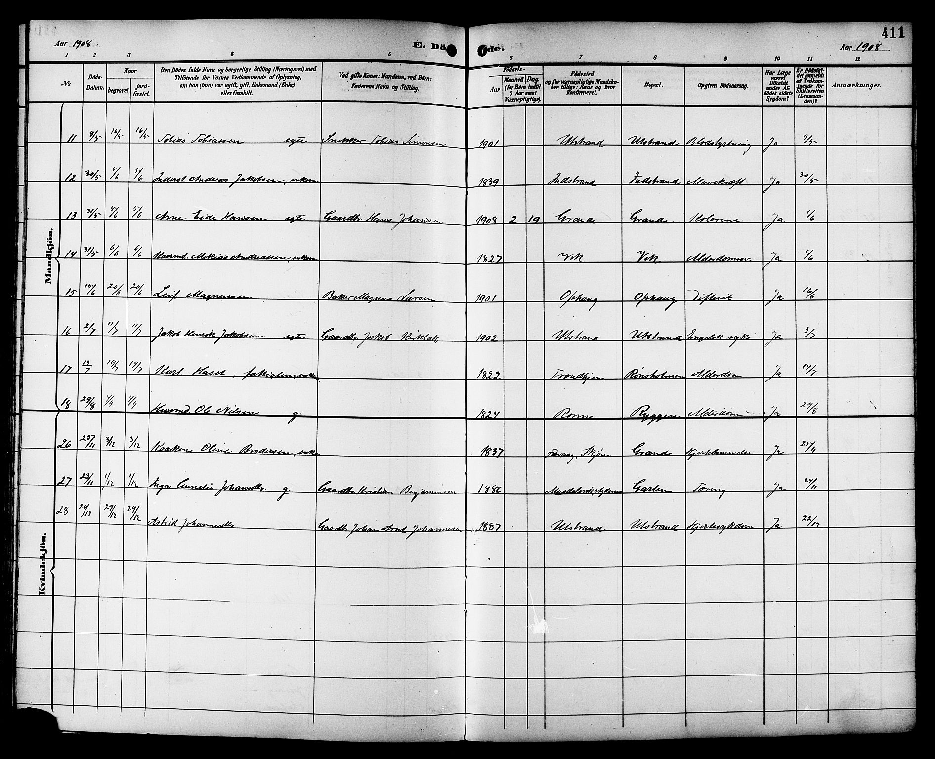 Ministerialprotokoller, klokkerbøker og fødselsregistre - Sør-Trøndelag, SAT/A-1456/659/L0746: Parish register (copy) no. 659C03, 1893-1912, p. 411
