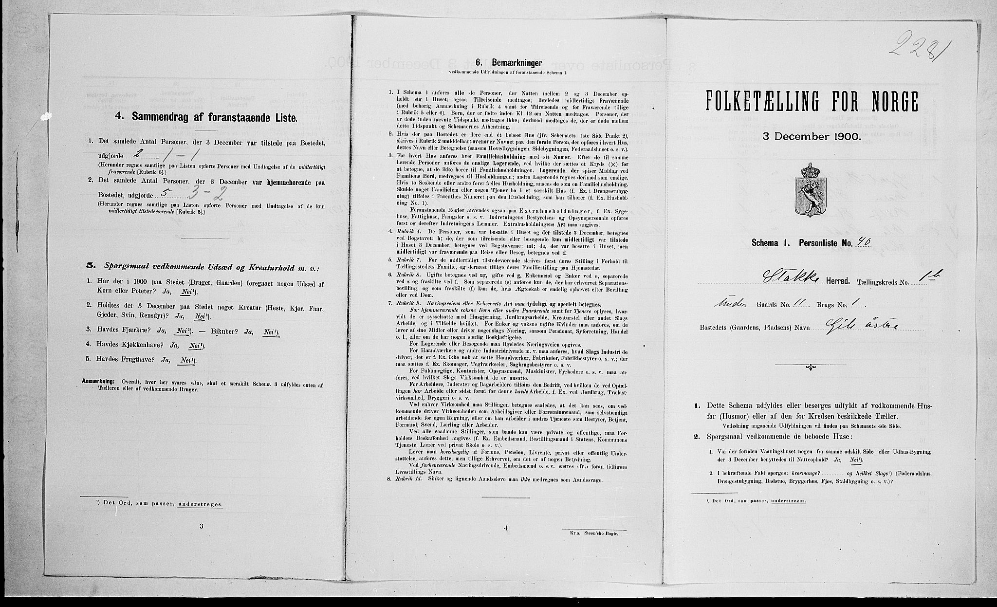 RA, 1900 census for Stokke, 1900, p. 316