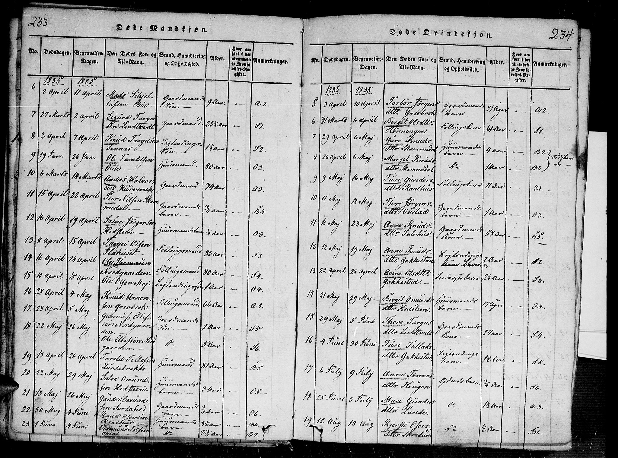 Bygland sokneprestkontor, AV/SAK-1111-0006/F/Fa/Fab/L0003: Parish register (official) no. A 3, 1816-1841, p. 233-234