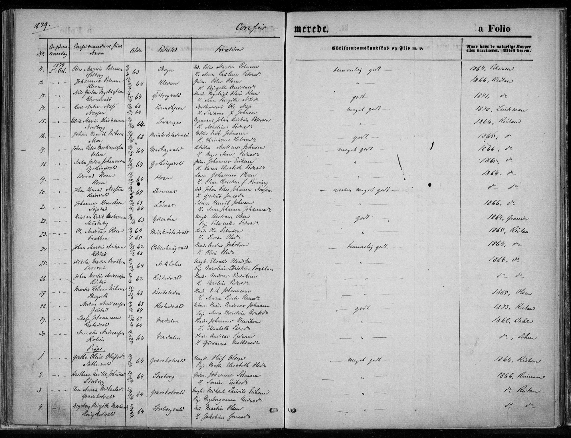 Ministerialprotokoller, klokkerbøker og fødselsregistre - Nord-Trøndelag, SAT/A-1458/720/L0187: Parish register (official) no. 720A04 /1, 1875-1879