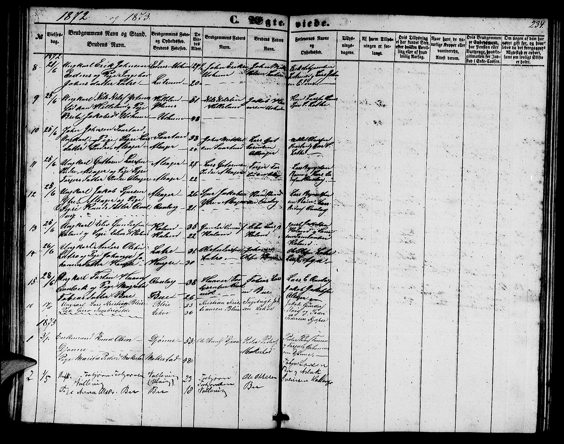 Ullensvang sokneprestembete, SAB/A-78701/H/Hab: Parish register (copy) no. E 6, 1857-1886, p. 234