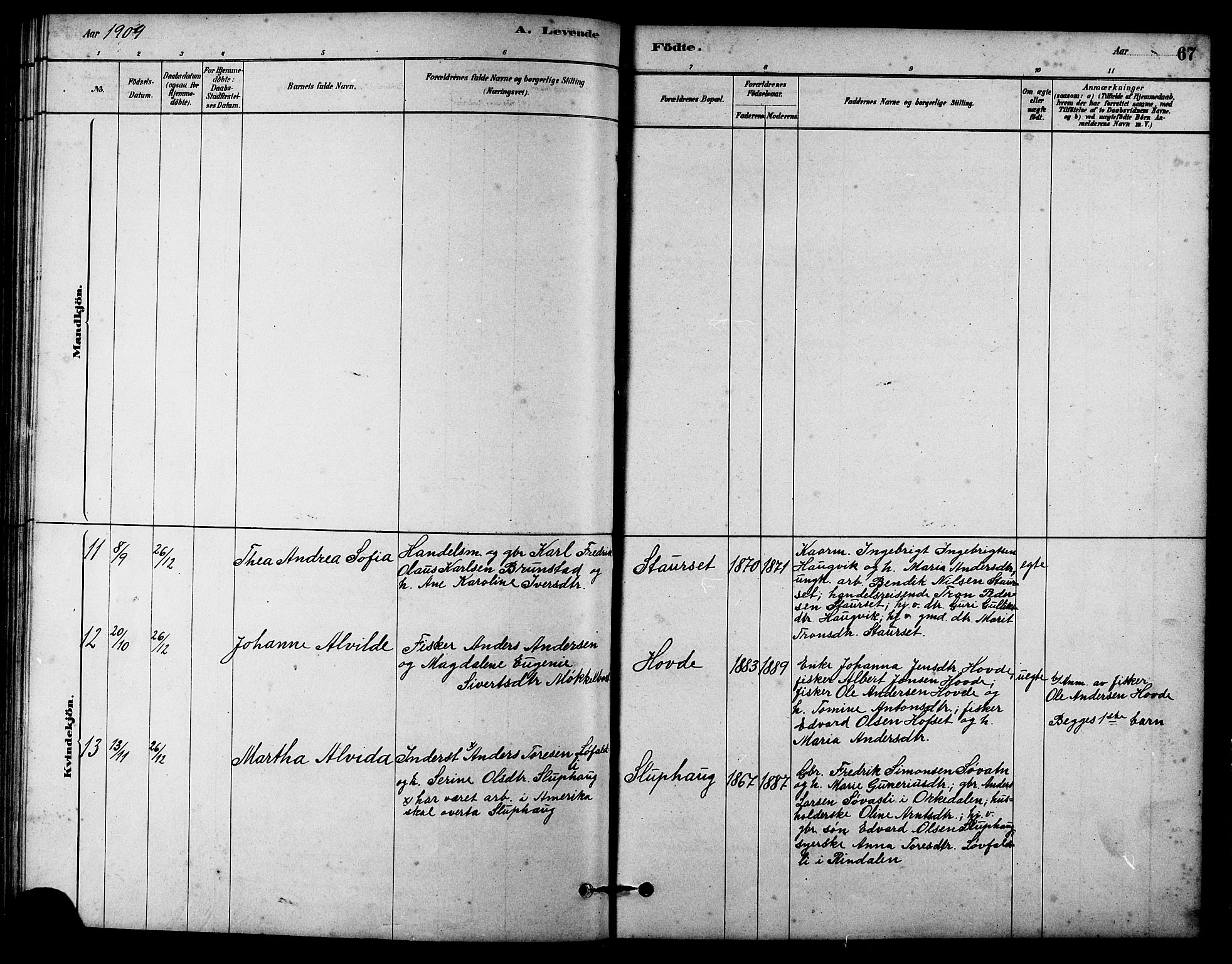 Ministerialprotokoller, klokkerbøker og fødselsregistre - Sør-Trøndelag, SAT/A-1456/631/L0514: Parish register (copy) no. 631C02, 1879-1912, p. 67