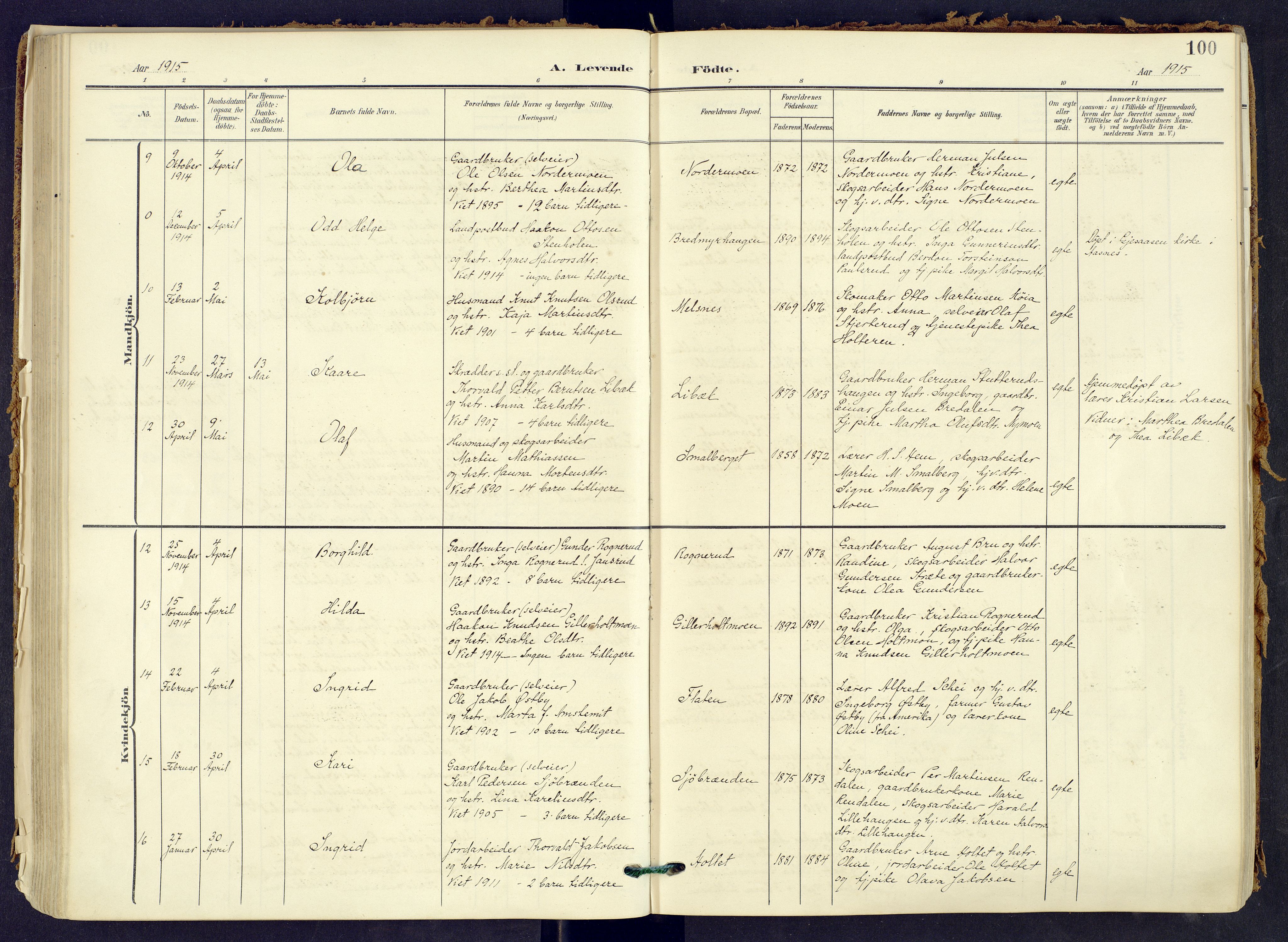 Våler prestekontor, Hedmark, AV/SAH-PREST-040/H/Ha/Haa/L0008: Parish register (official) no. 8, 1905-1921, p. 100