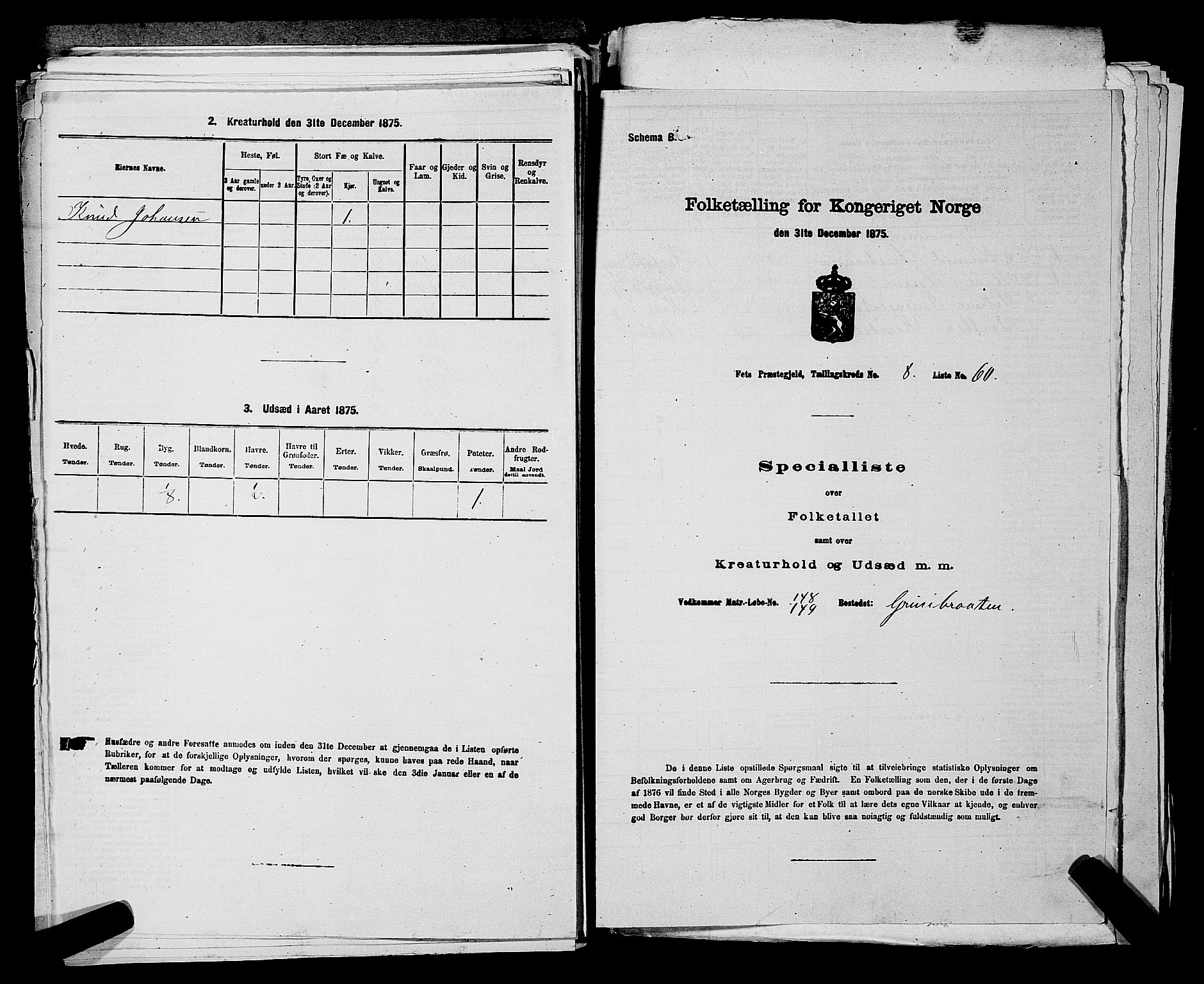 RA, 1875 census for 0227P Fet, 1875, p. 1273