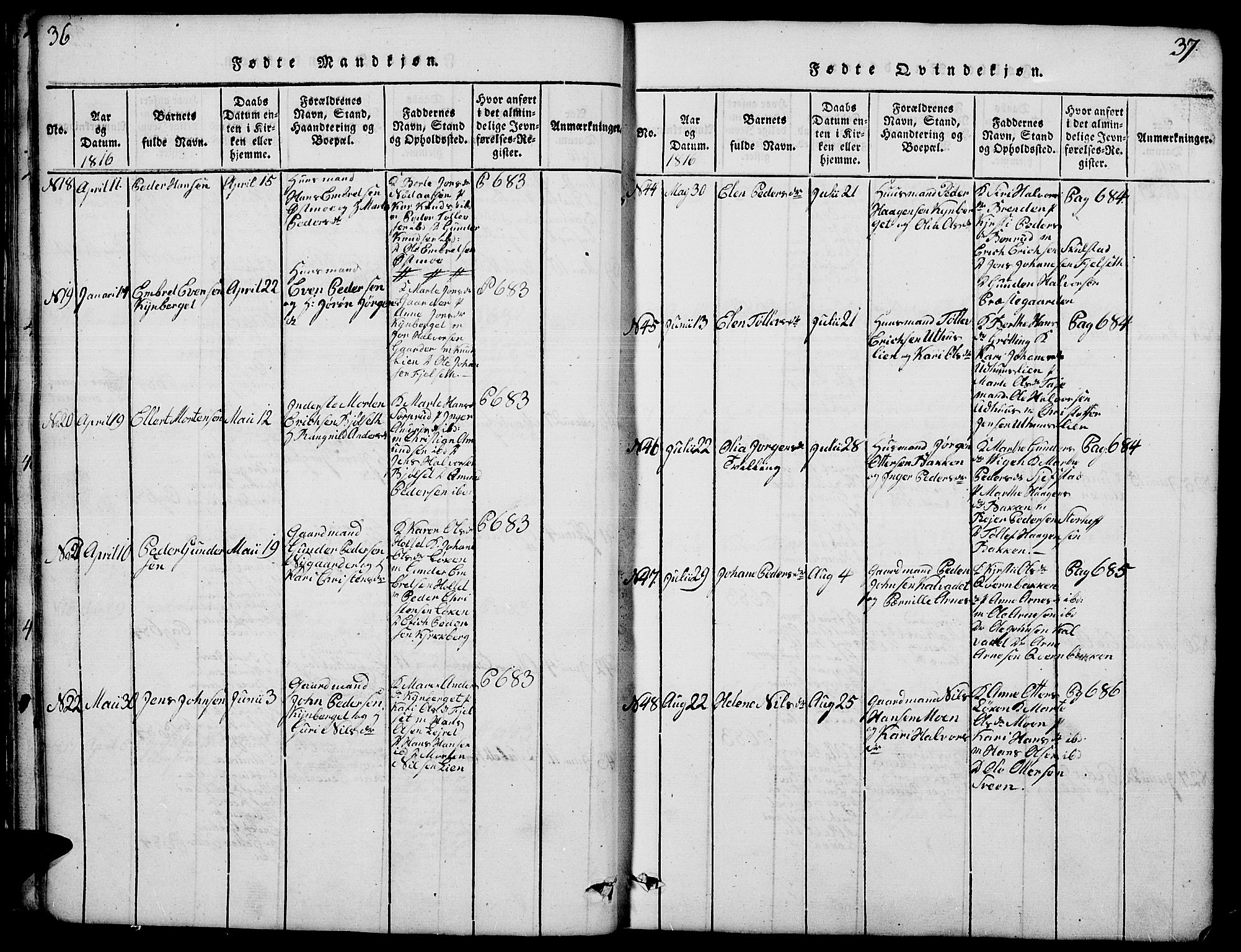 Elverum prestekontor, AV/SAH-PREST-044/H/Ha/Hab/L0001: Parish register (copy) no. 1, 1815-1829, p. 36-37