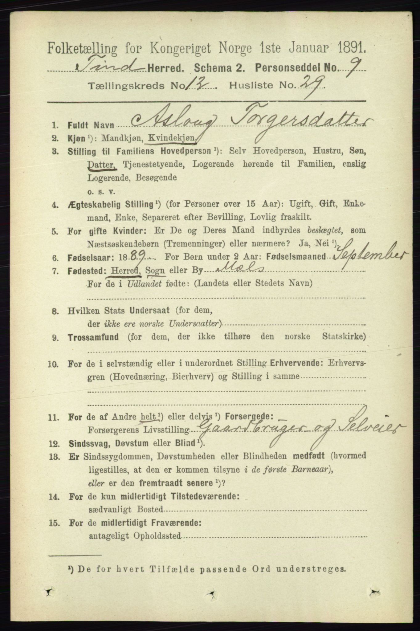RA, 1891 census for 0826 Tinn, 1891, p. 2485