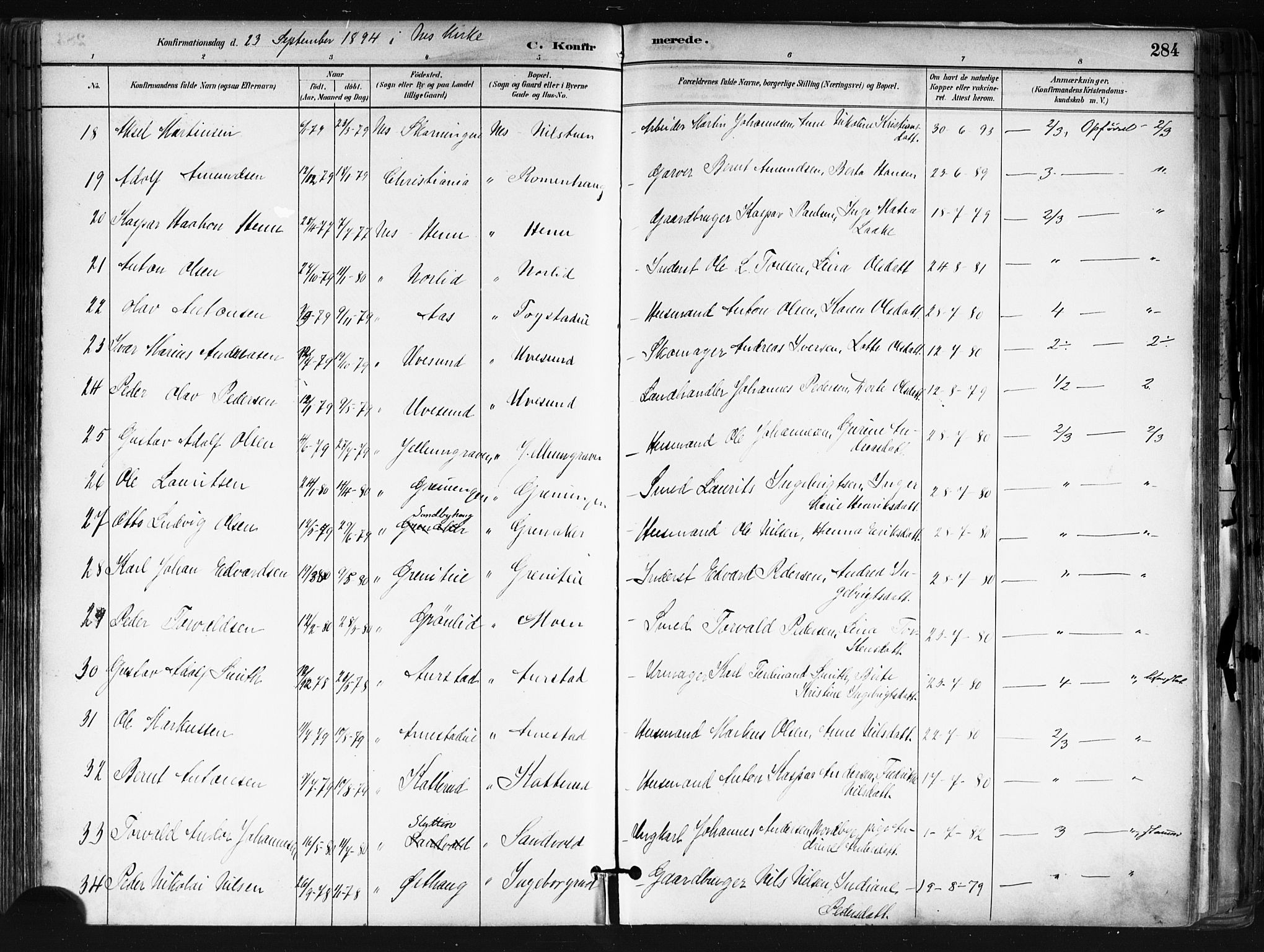 Nes prestekontor Kirkebøker, AV/SAO-A-10410/F/Fa/L0010: Parish register (official) no. I 10, 1883-1898, p. 284