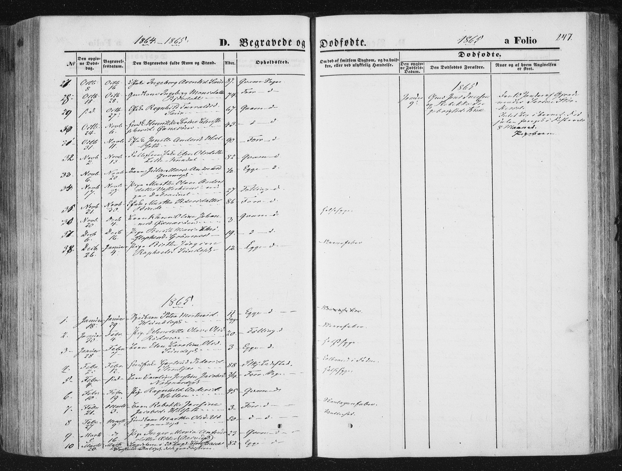 Ministerialprotokoller, klokkerbøker og fødselsregistre - Nord-Trøndelag, SAT/A-1458/746/L0447: Parish register (official) no. 746A06, 1860-1877, p. 247