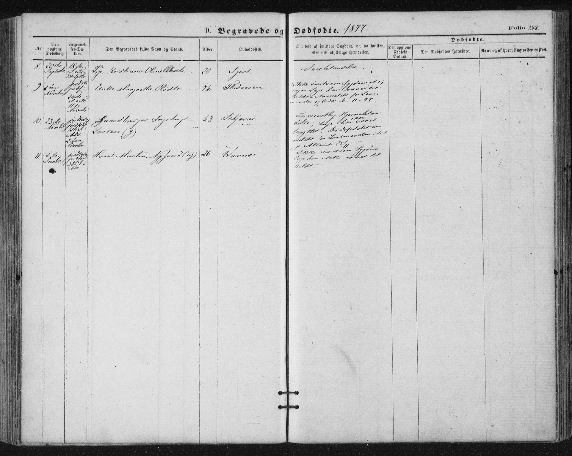 Ministerialprotokoller, klokkerbøker og fødselsregistre - Nordland, SAT/A-1459/816/L0241: Parish register (official) no. 816A07, 1870-1885, p. 248