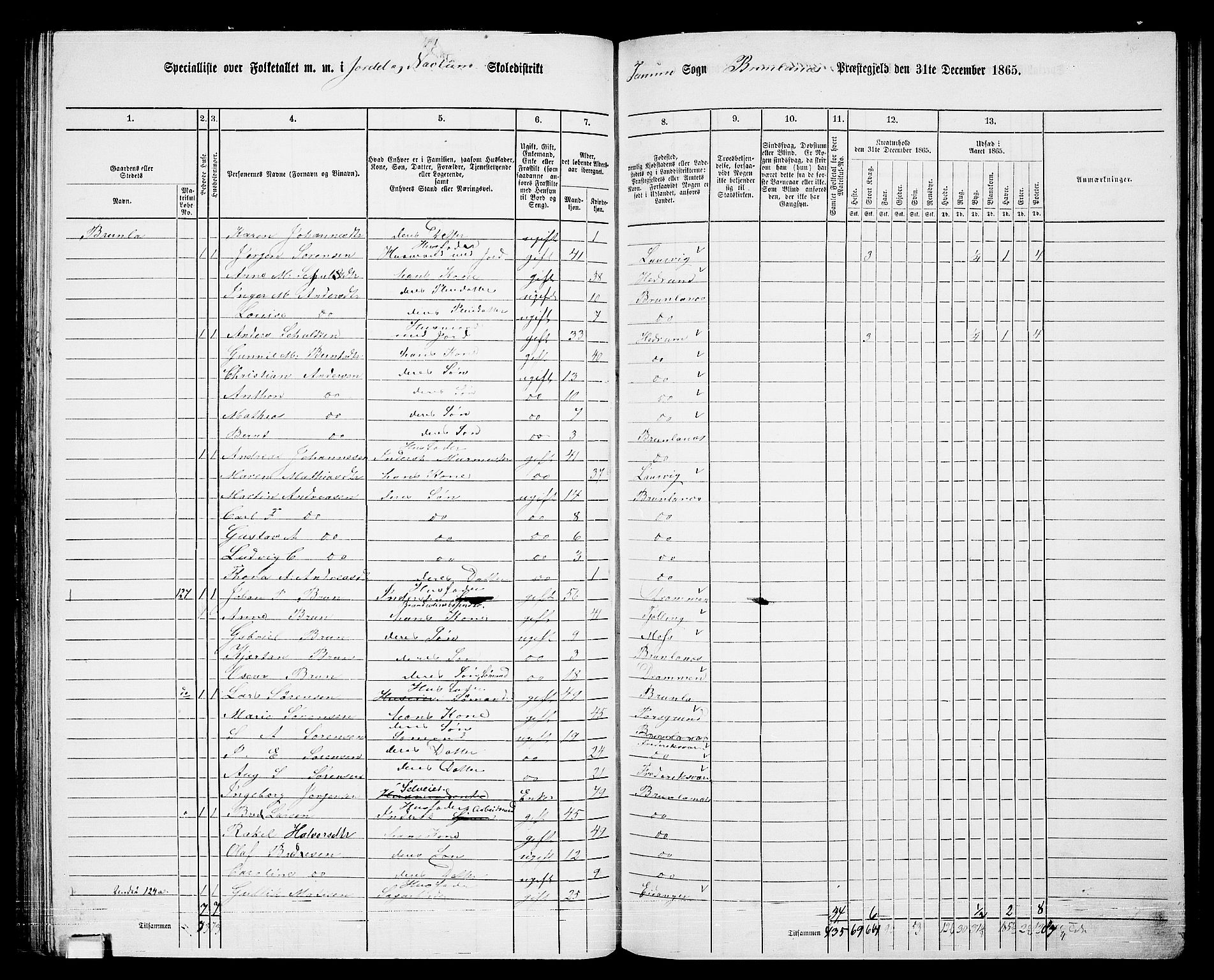 RA, 1865 census for Brunlanes, 1865, p. 84