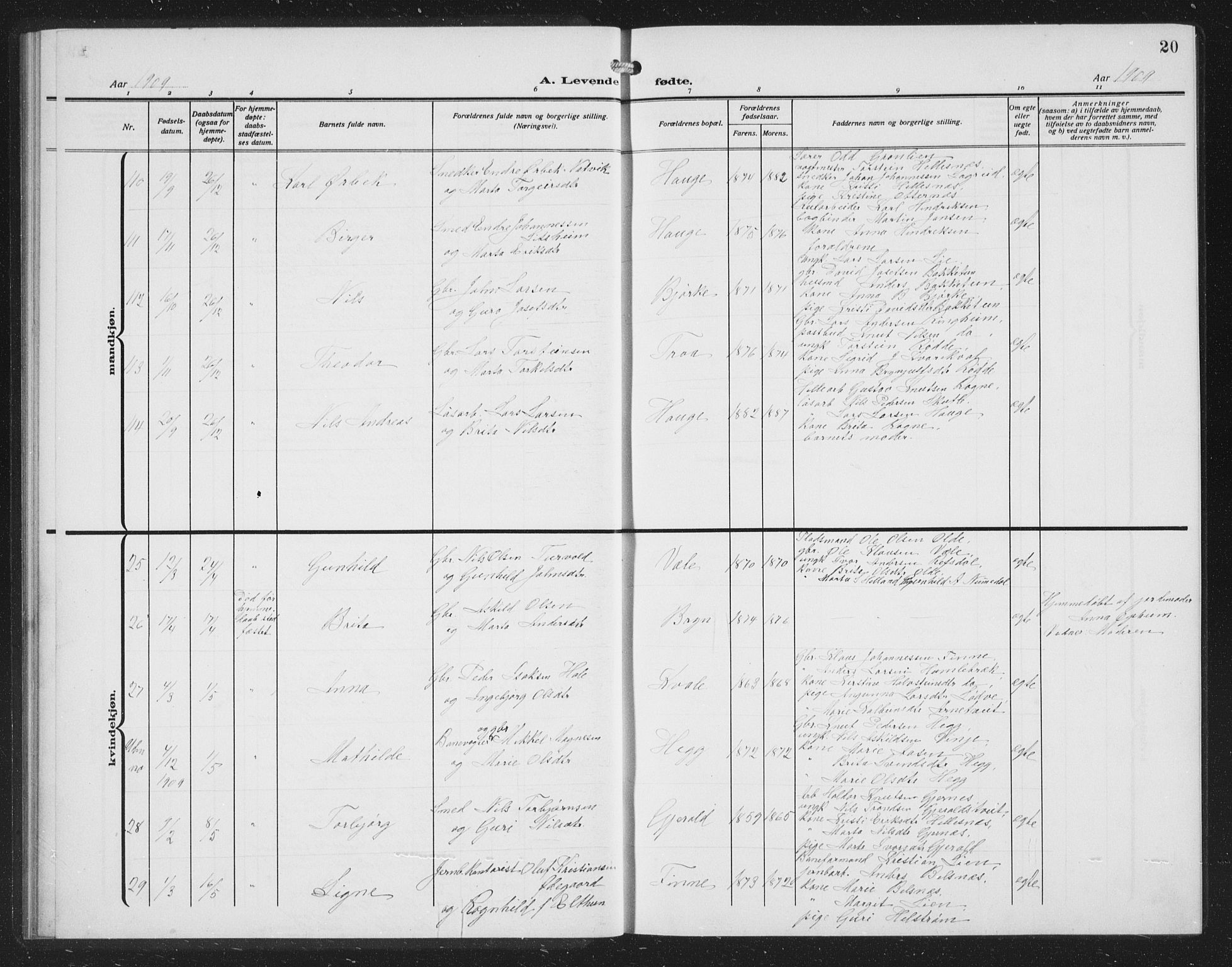 Voss sokneprestembete, AV/SAB-A-79001/H/Hab: Parish register (copy) no. C 3, 1909-1920, p. 20