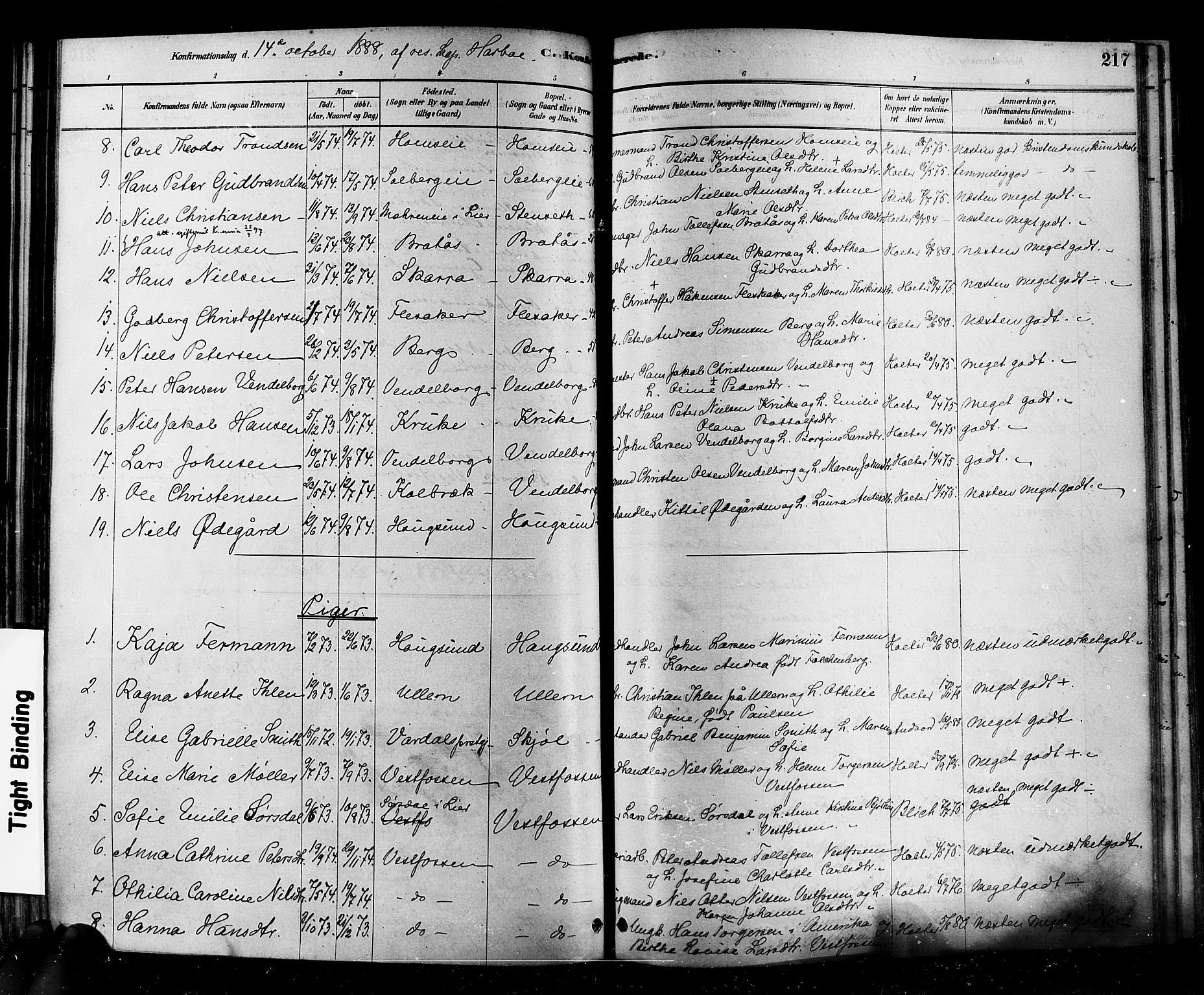 Eiker kirkebøker, AV/SAKO-A-4/F/Fb/L0001: Parish register (official) no. II 1, 1878-1888, p. 217