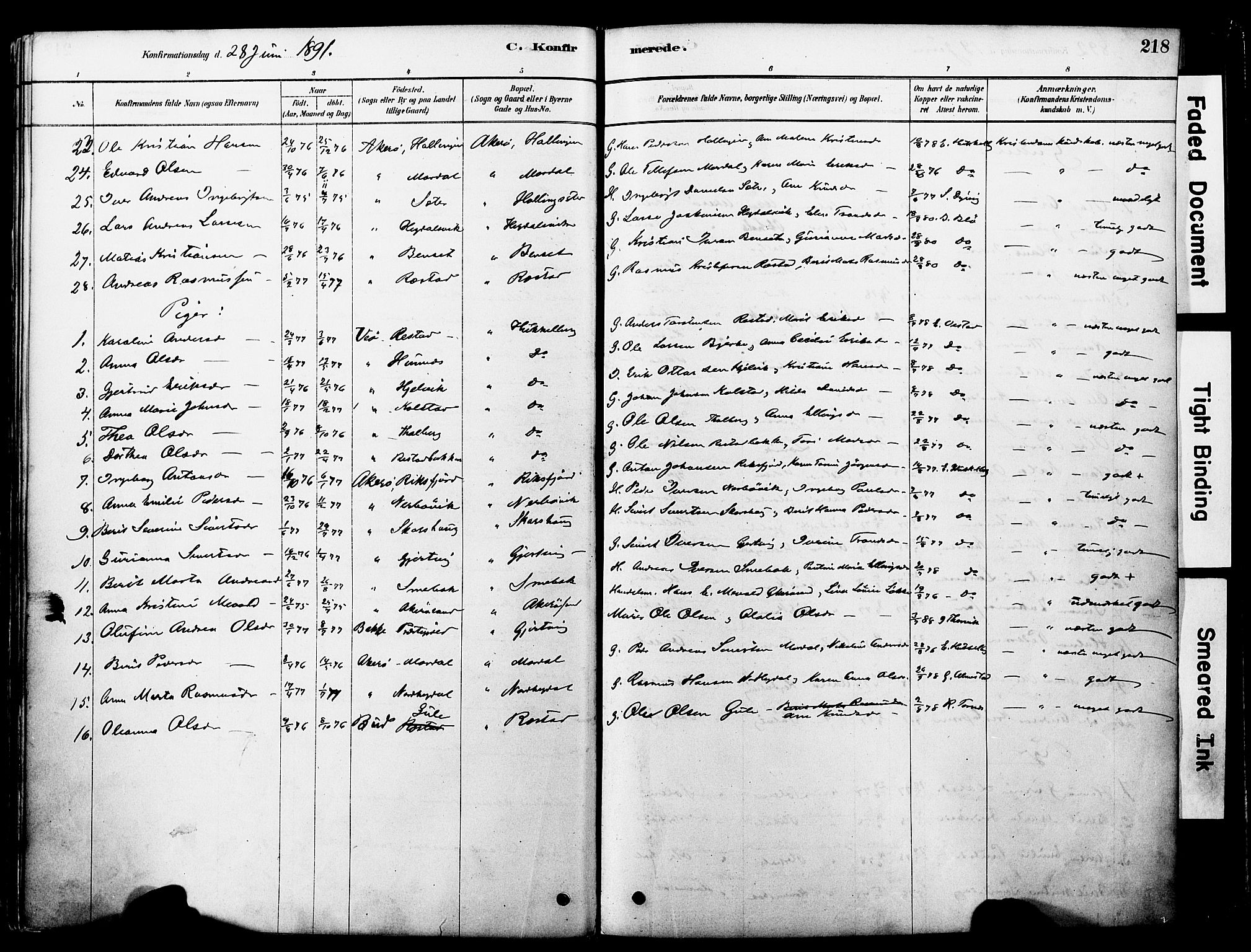 Ministerialprotokoller, klokkerbøker og fødselsregistre - Møre og Romsdal, SAT/A-1454/560/L0721: Parish register (official) no. 560A05, 1878-1917, p. 218