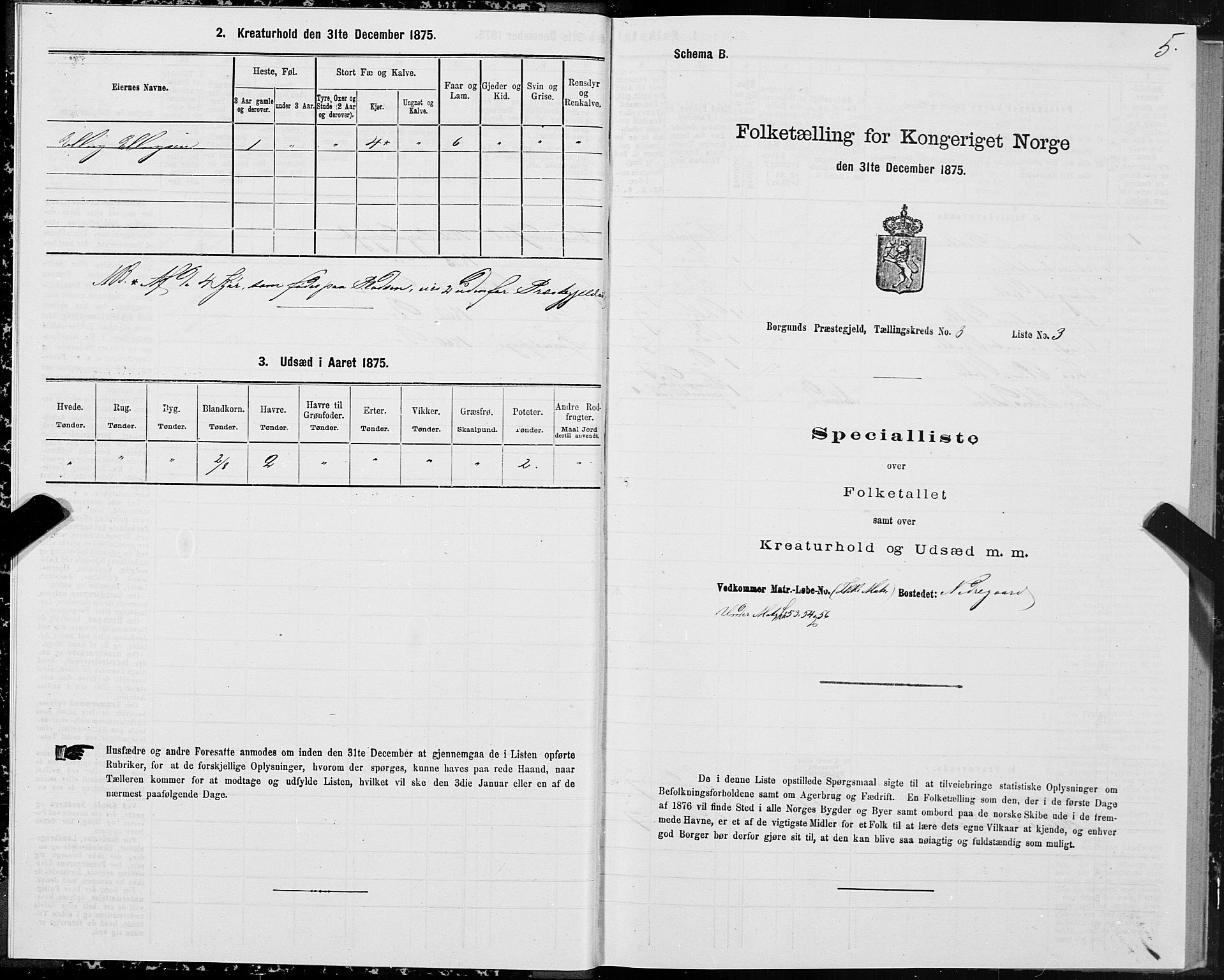 SAT, 1875 census for 1531P Borgund, 1875, p. 2005