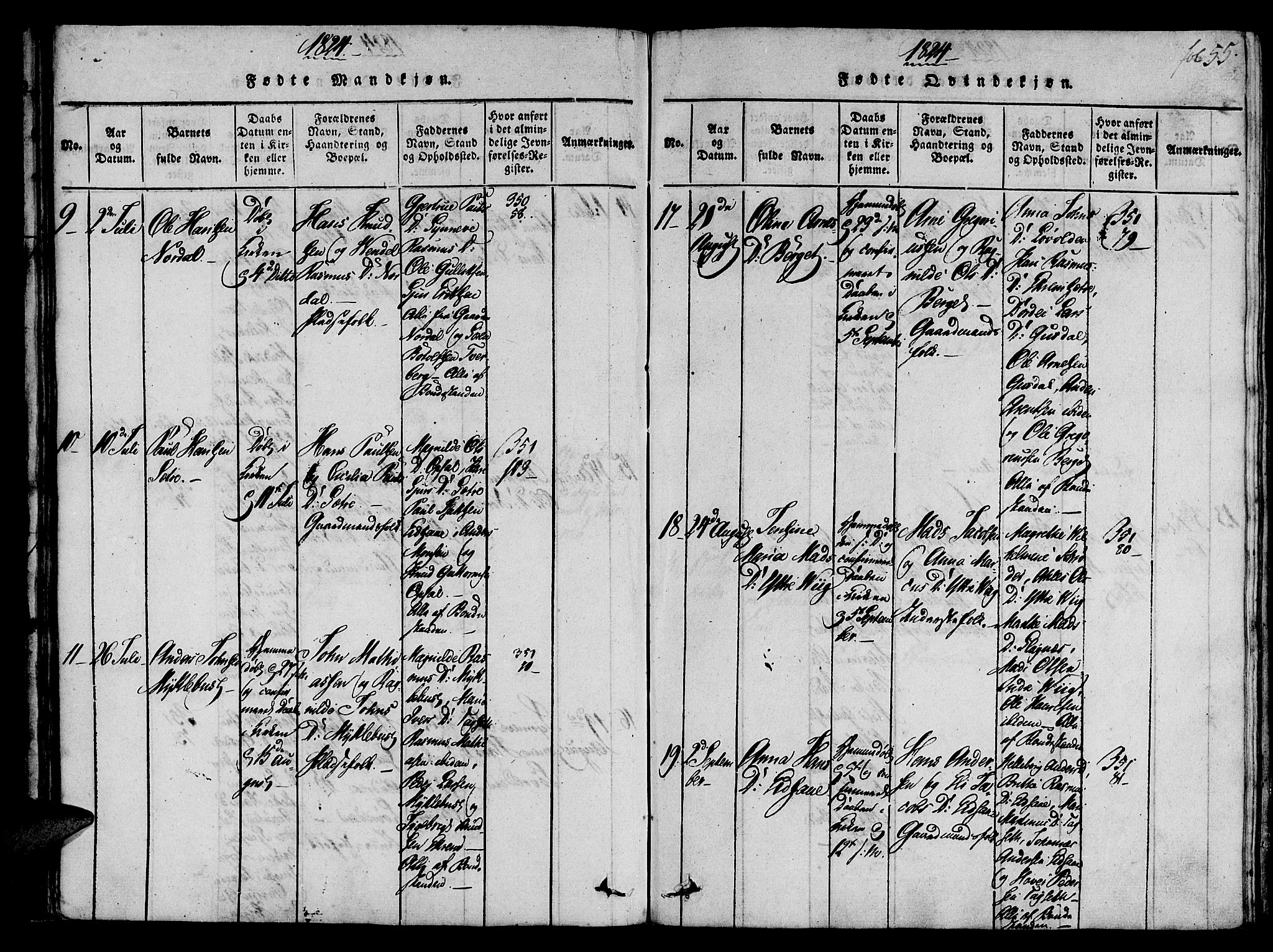 Ministerialprotokoller, klokkerbøker og fødselsregistre - Møre og Romsdal, AV/SAT-A-1454/501/L0004: Parish register (official) no. 501A04, 1816-1831, p. 55