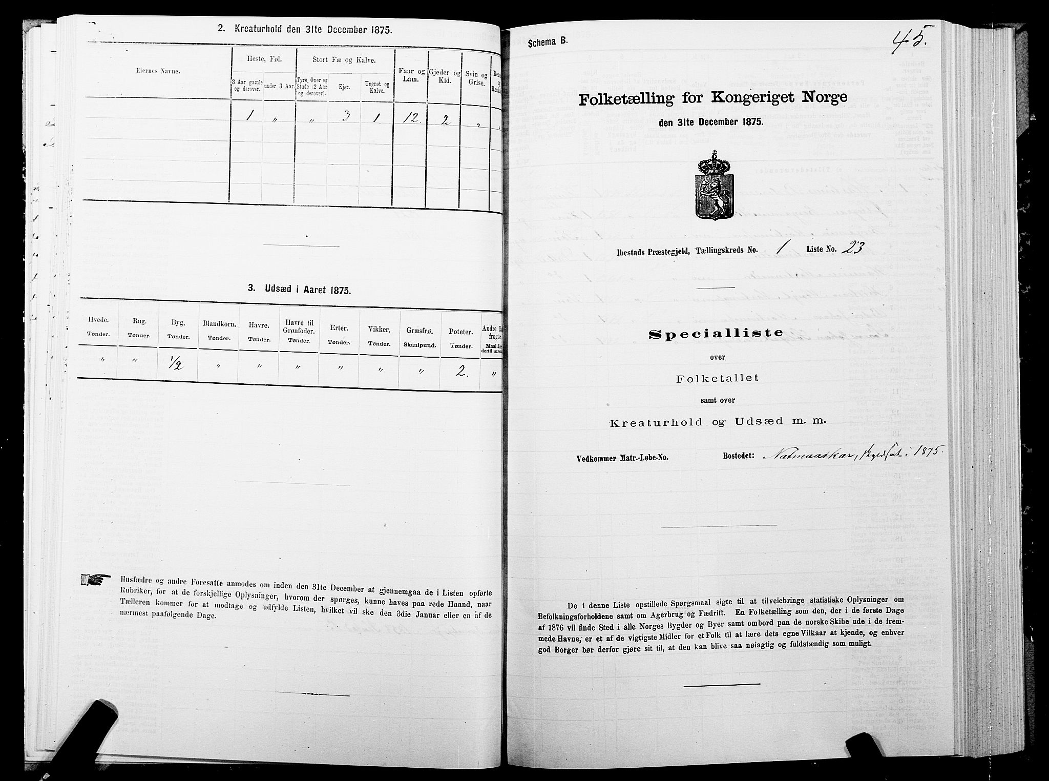 SATØ, 1875 census for 1917P Ibestad, 1875, p. 1045