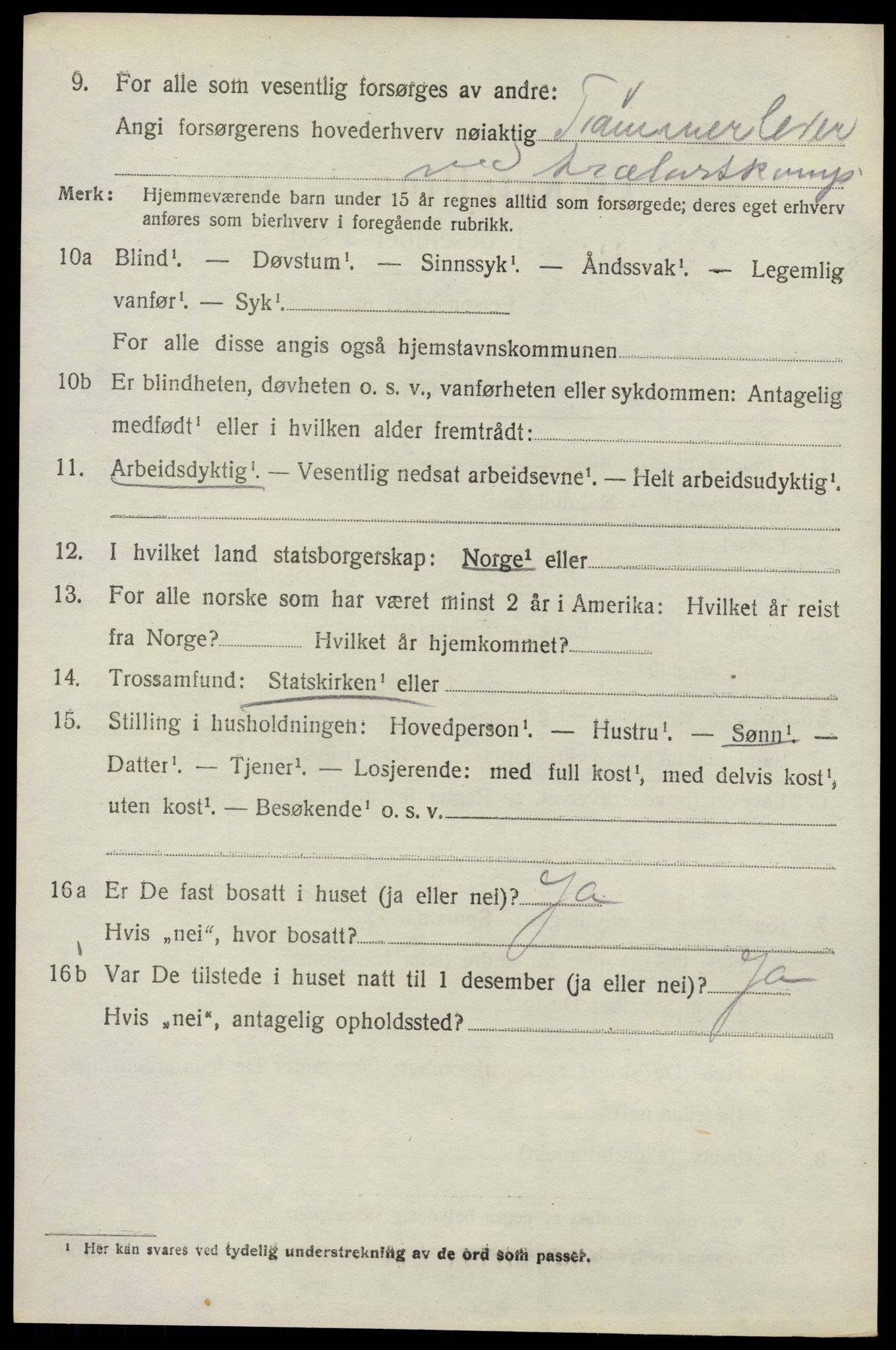 SAO, 1920 census for Glemmen, 1920, p. 4062