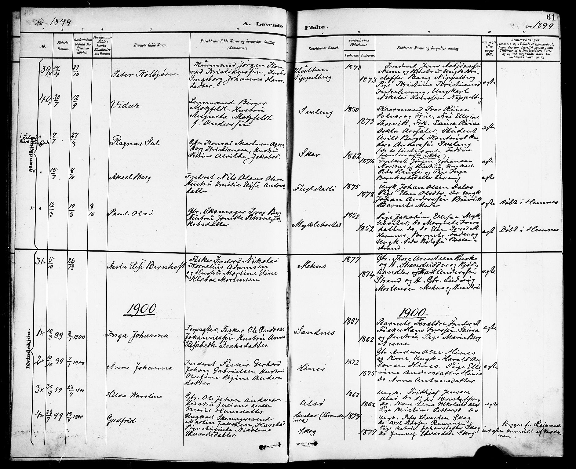 Ministerialprotokoller, klokkerbøker og fødselsregistre - Nordland, SAT/A-1459/838/L0559: Parish register (copy) no. 838C06, 1893-1910, p. 61