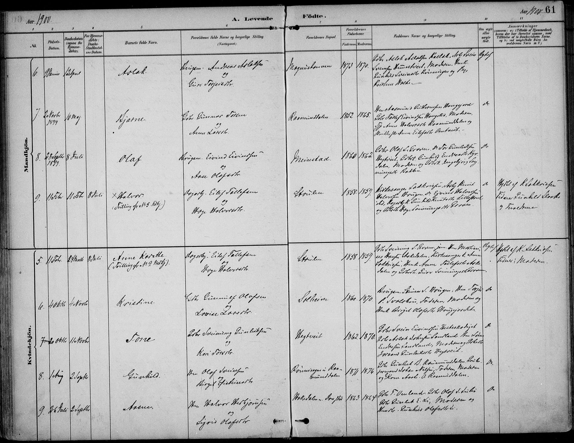 Kviteseid kirkebøker, AV/SAKO-A-276/F/Fb/L0002: Parish register (official) no. II 2, 1882-1916, p. 61