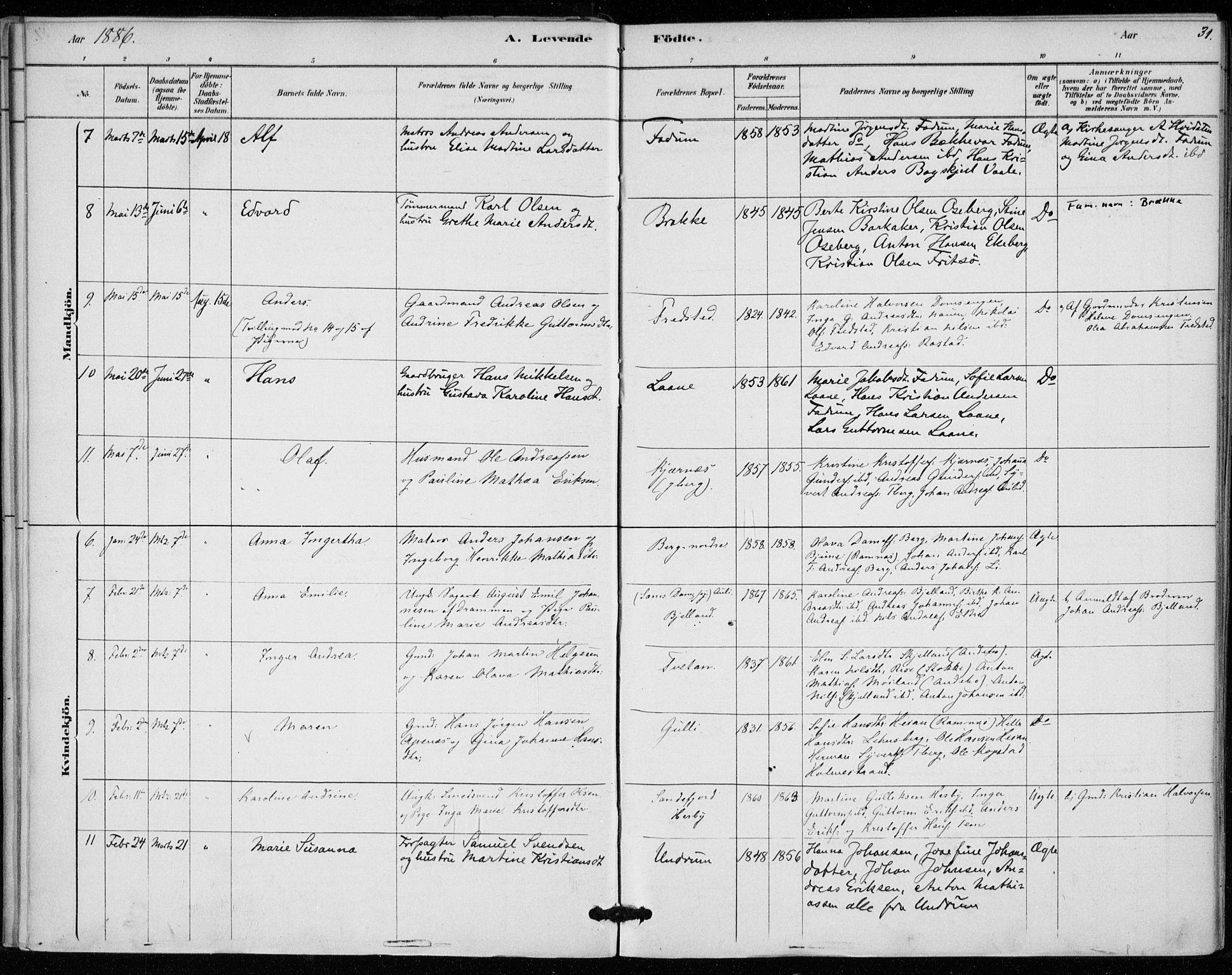 Sem kirkebøker, AV/SAKO-A-5/F/Fa/L0010: Parish register (official) no. I 10, 1878-1887, p. 31